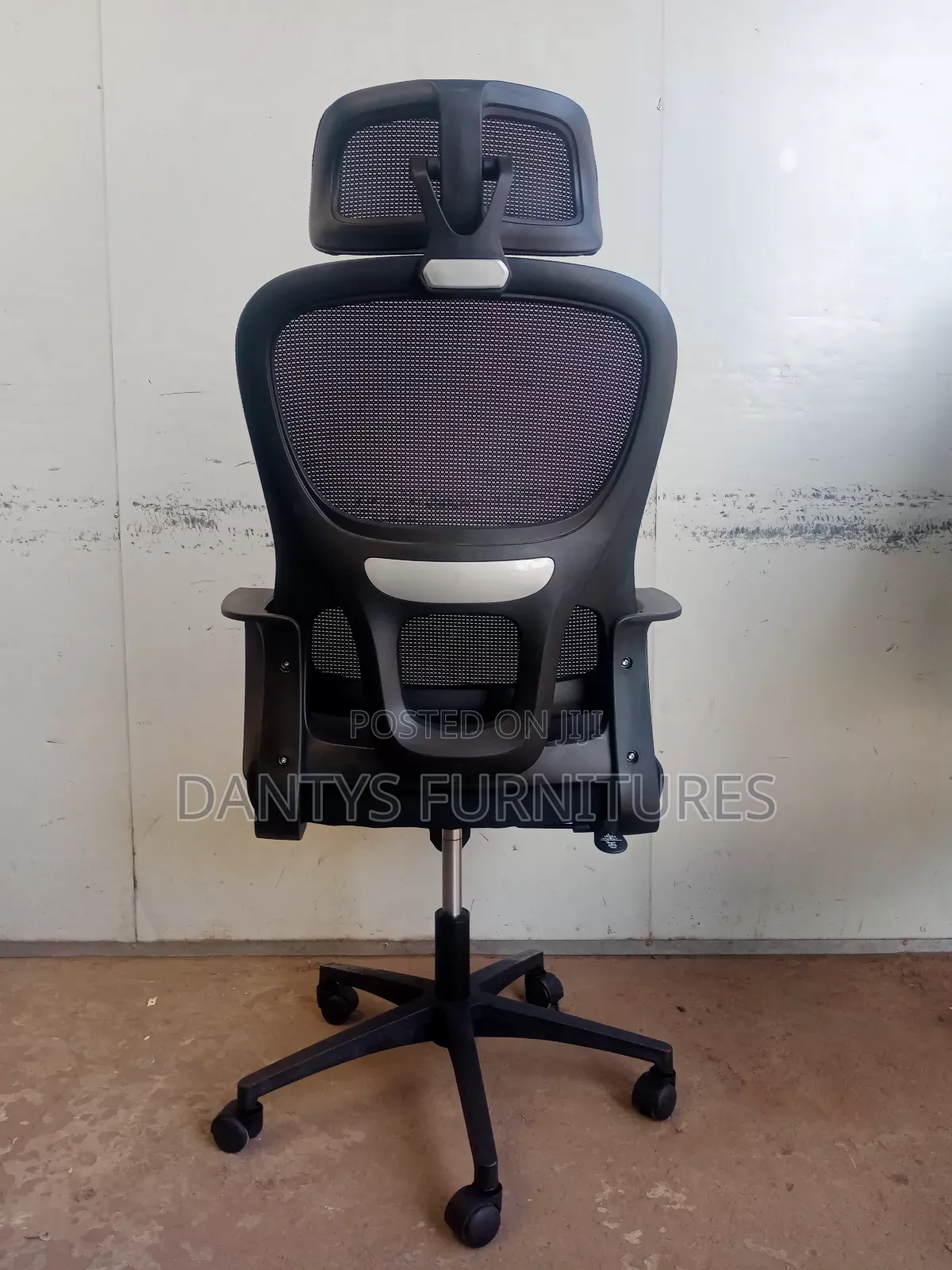 Ergo Orthopedic Chair, Office Chair