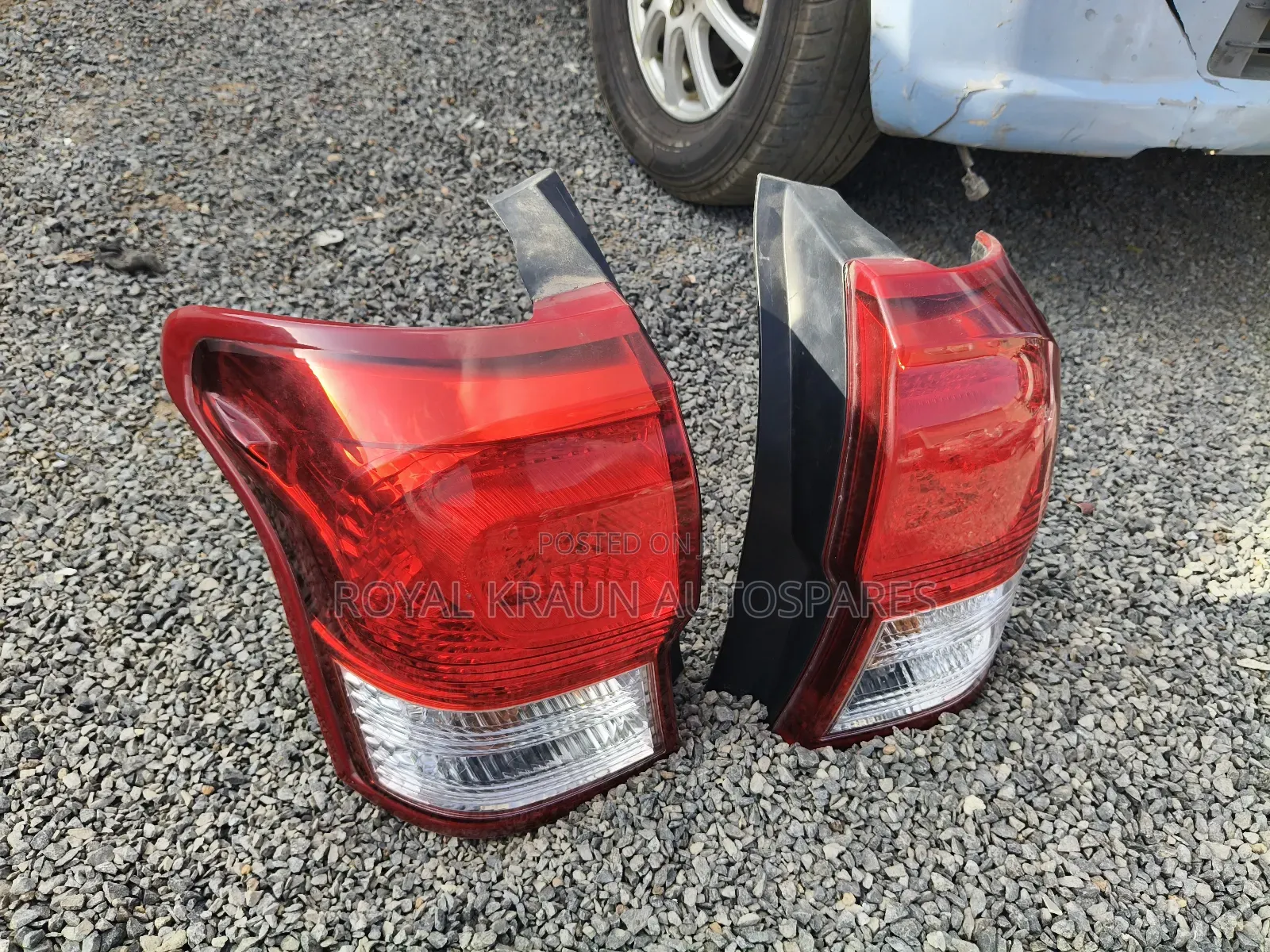 Fielder 161 Backllights
