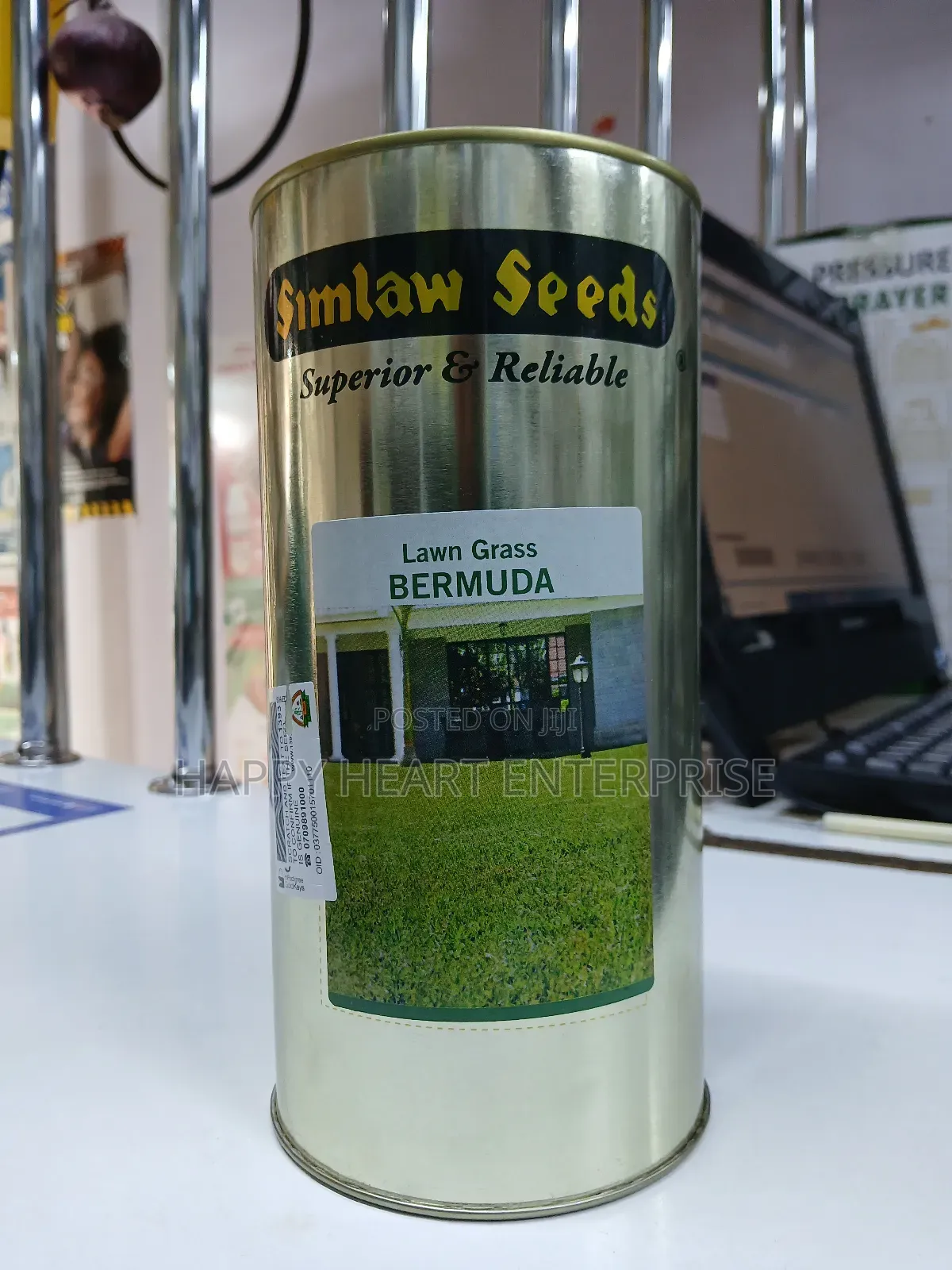 Bermuda Lawn Grass 500g