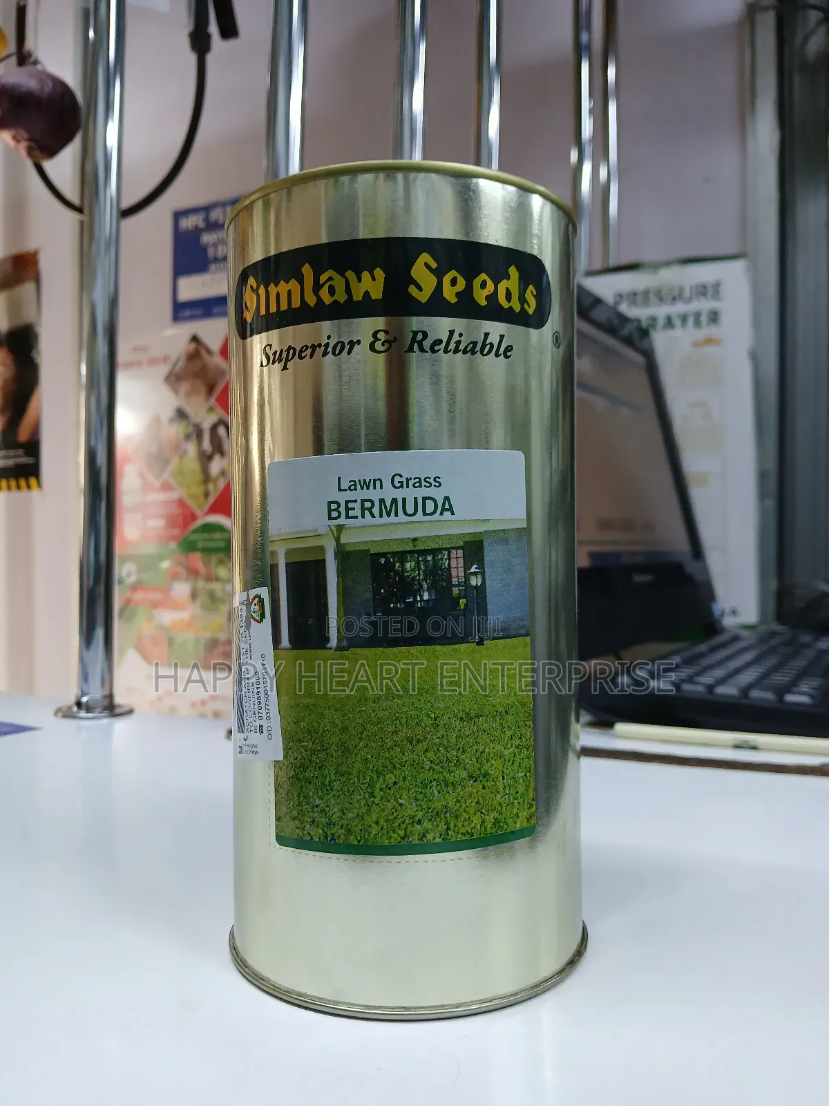 Bermuda Lawn Grass 500g
