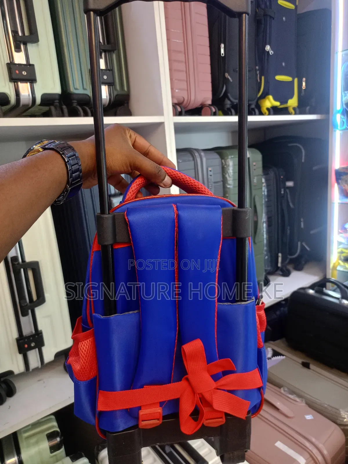 Spiderman School Trolley Bag