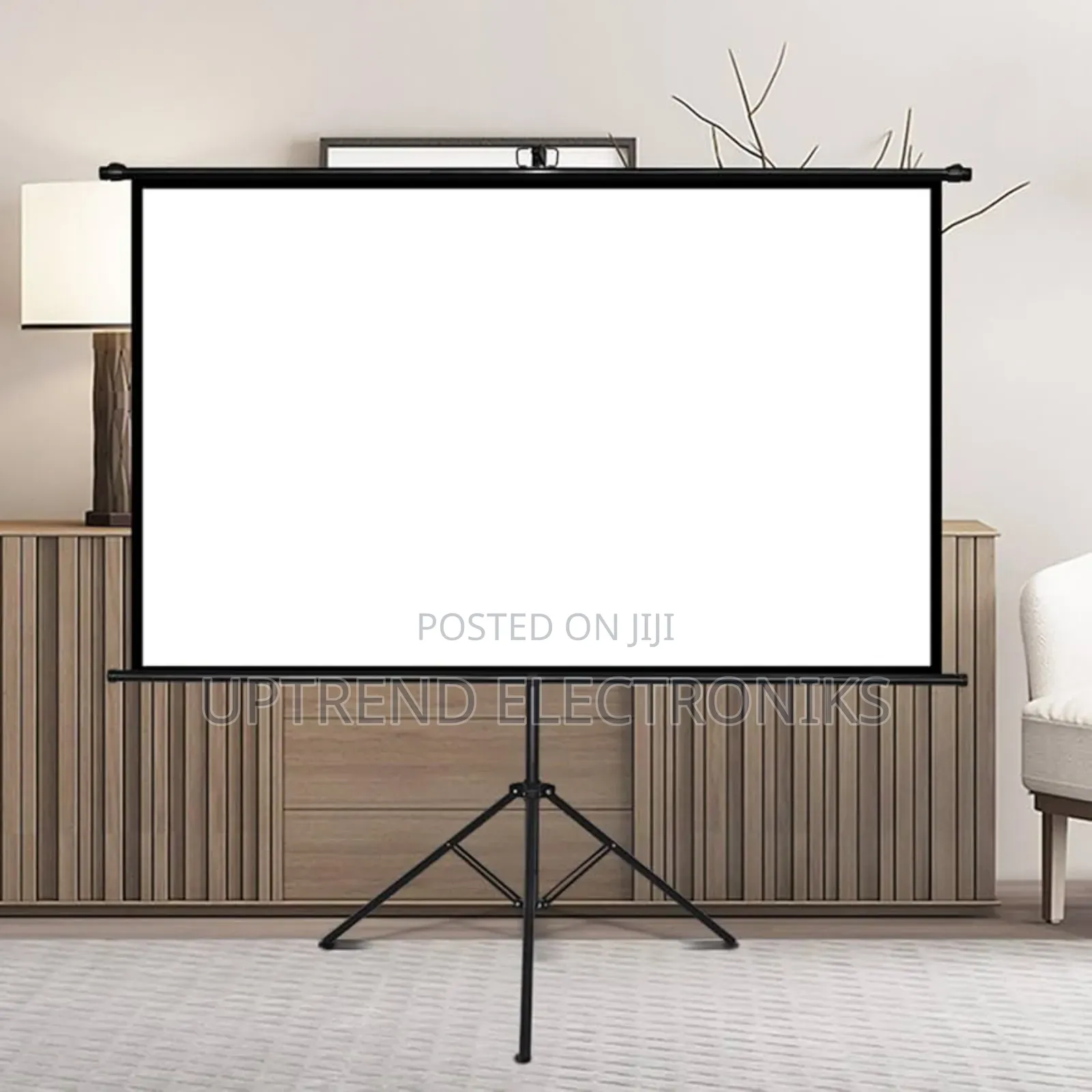 Portable 150×150 Tripod Screen — Simple Setup, Sharp Projection