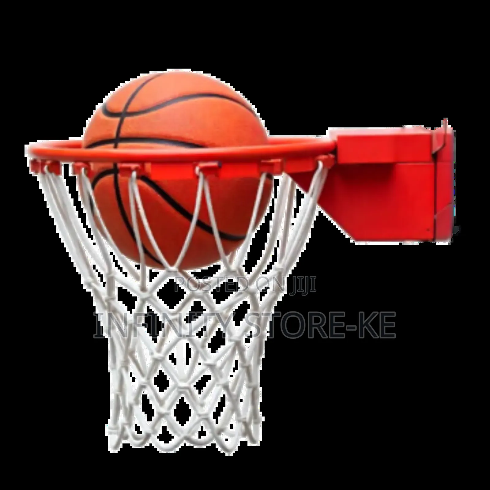 Professional Basketball, 1 Ring and 1 Net