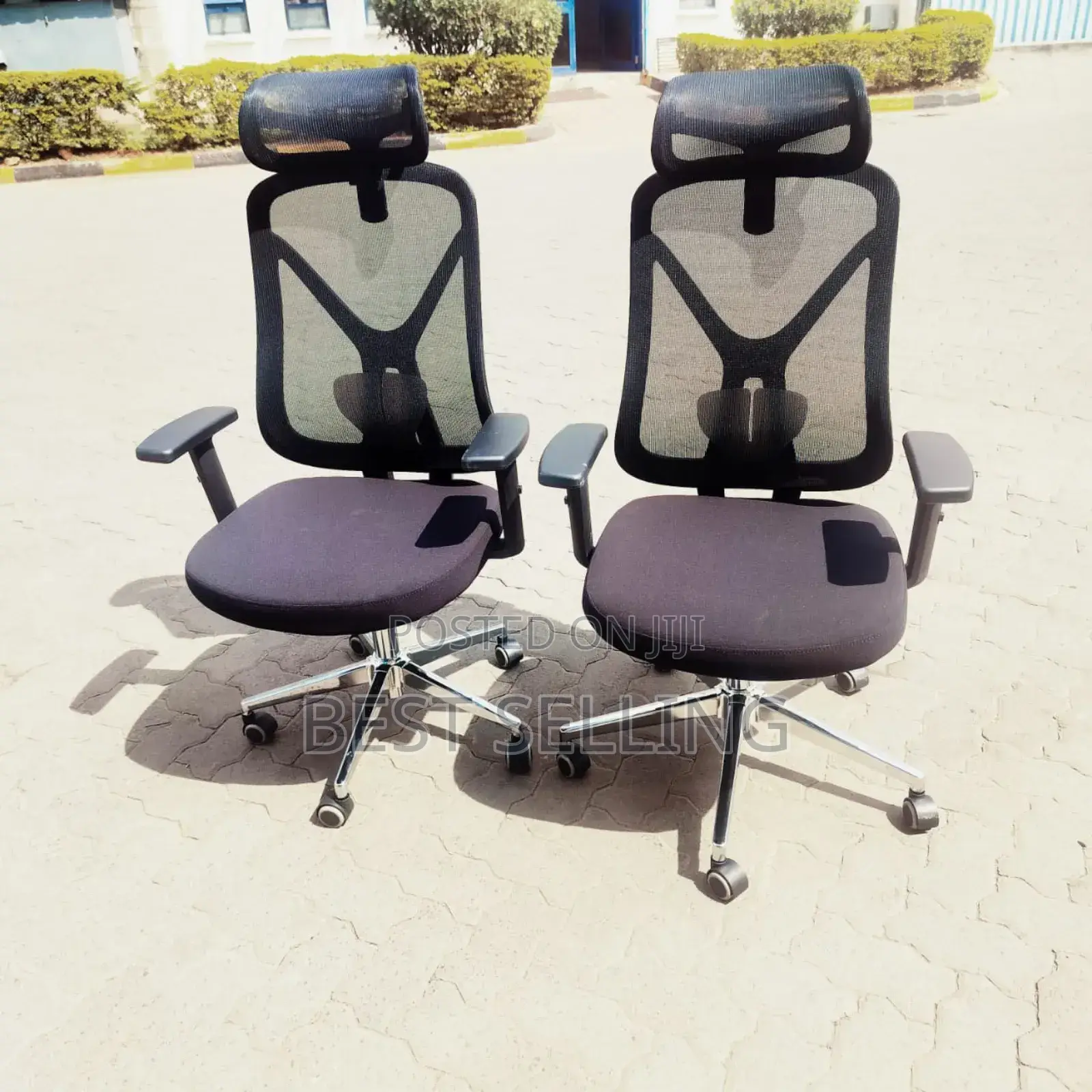 Ergonomic Office Chair