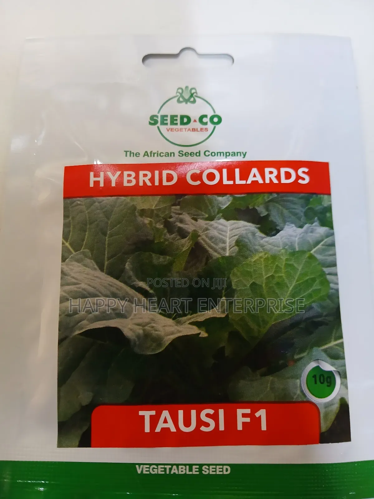 Tausi F1 Hybrid Collards 10g