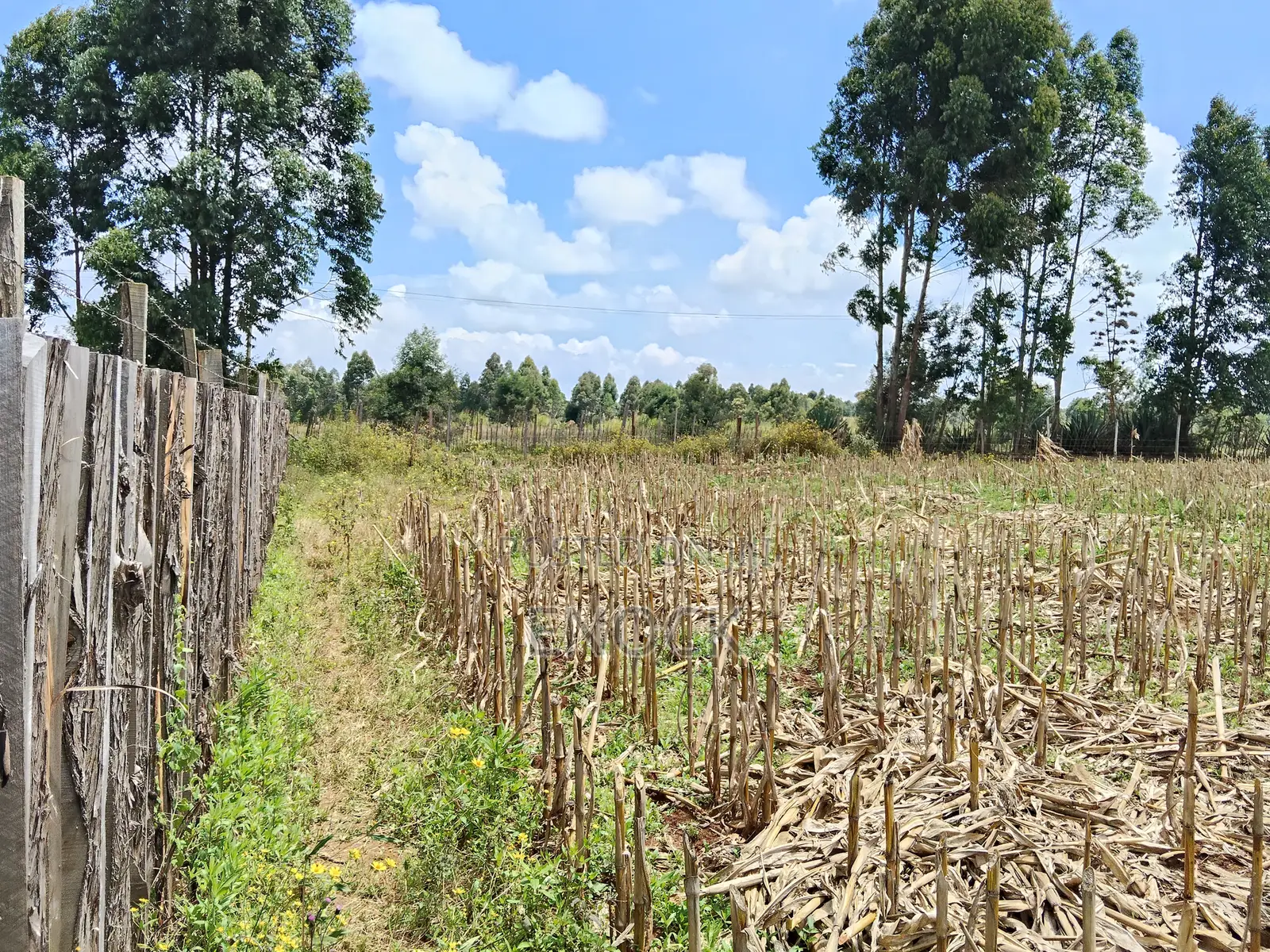 Ilula Eldoret Residential Plots
