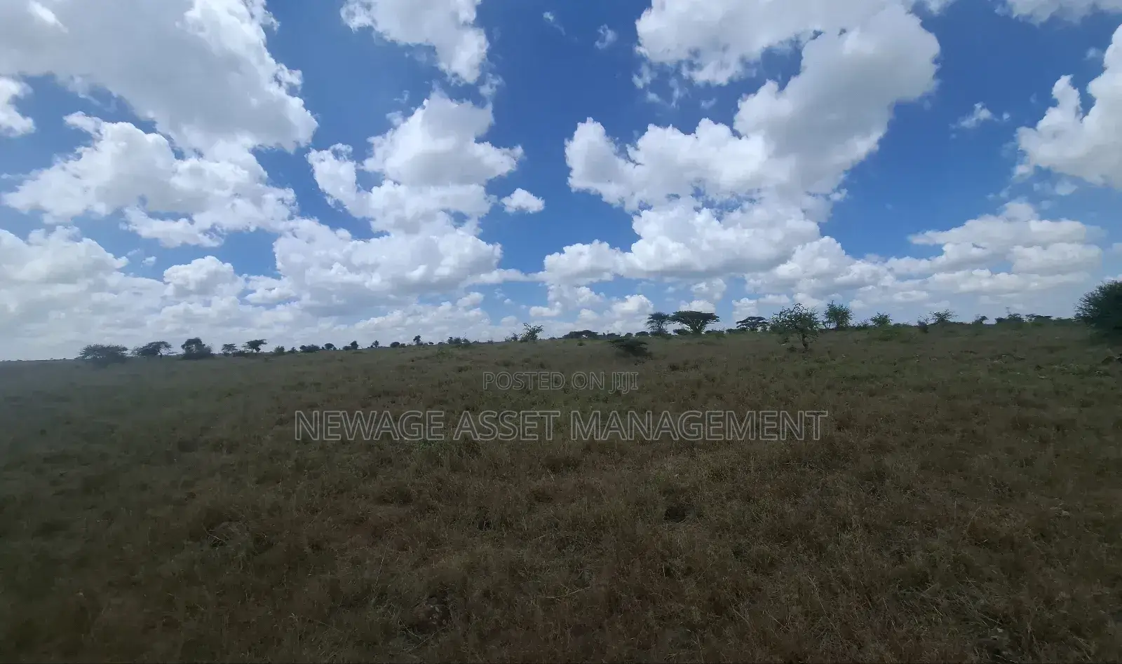 10 Acre Piece of Land for Sale in Isinya