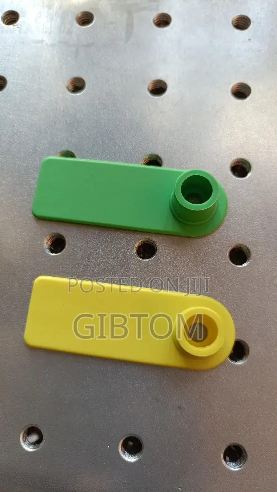 Sheep Eartags for Identification of Animals