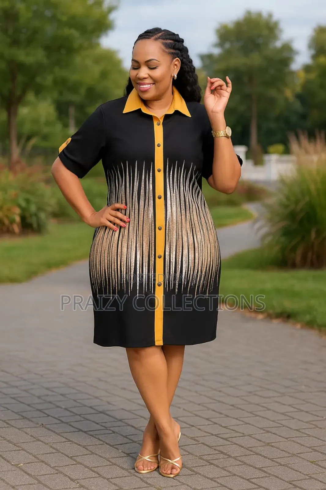 Elegant Shirt Dress