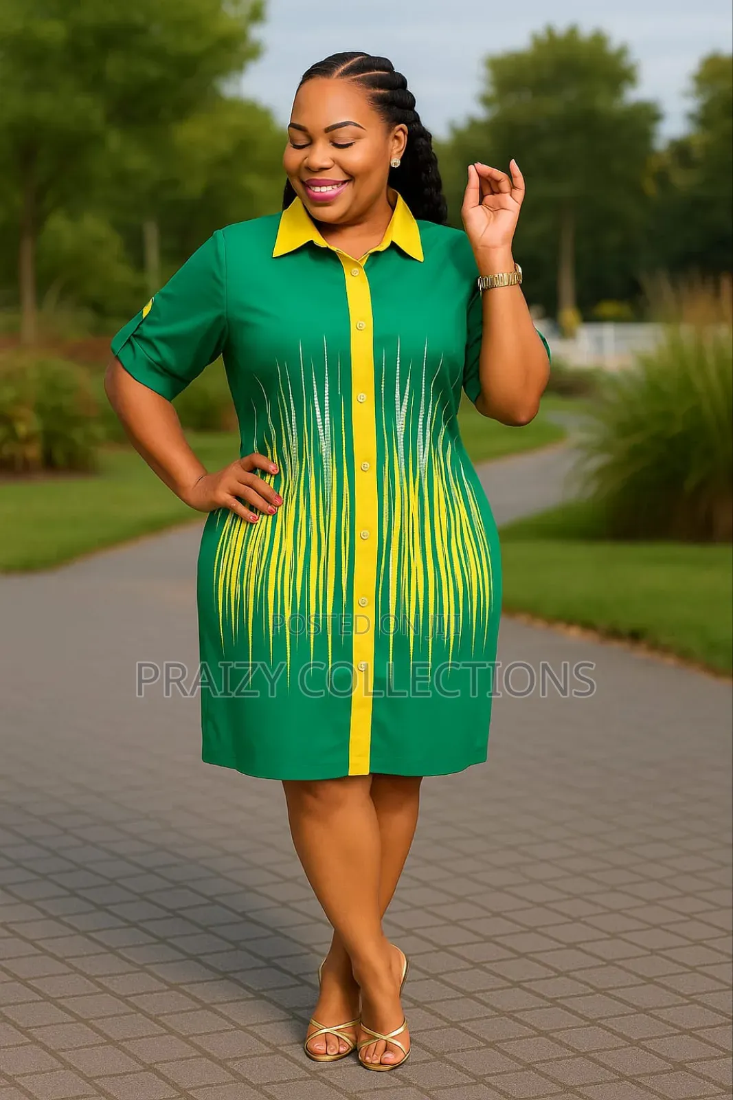 Elegant Shirt Dress
