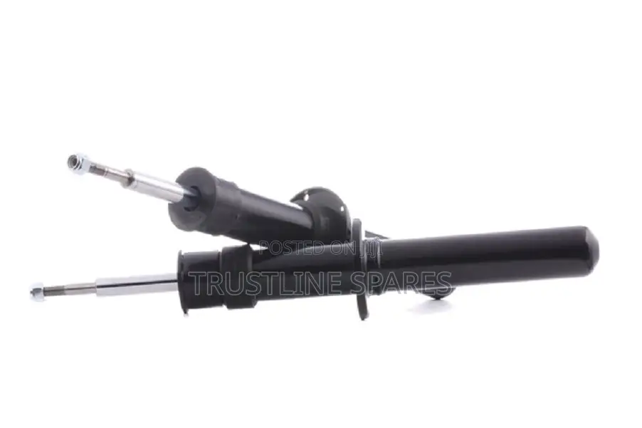 Bmw X5 (E70) X6 (E71, E72) - Shock Absorber - Frey