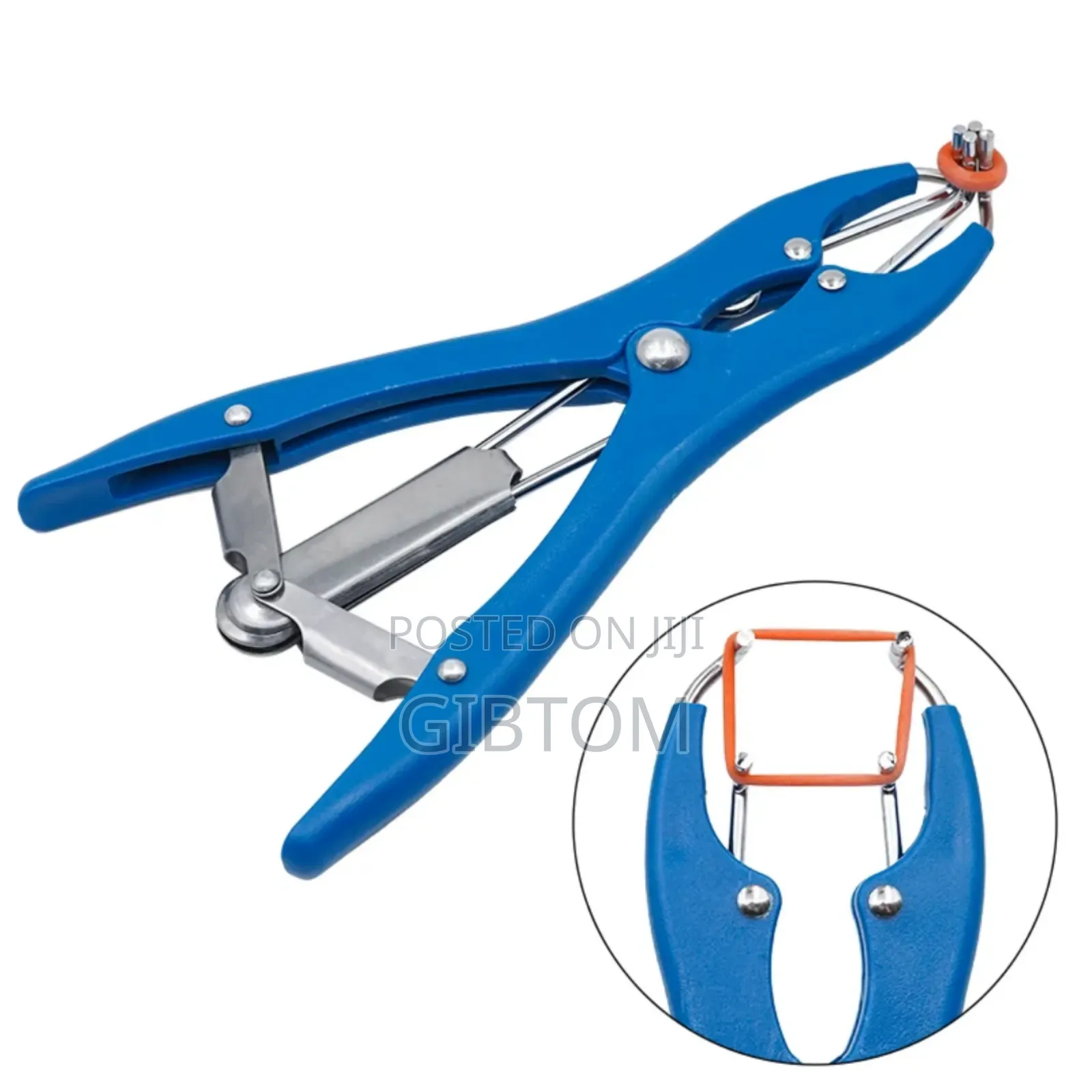 Castration Rings for Bulls, Sheep and Other Animals.