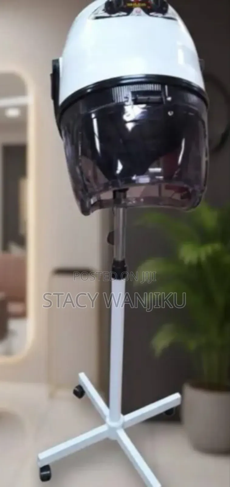 Professional Saloon Dryer