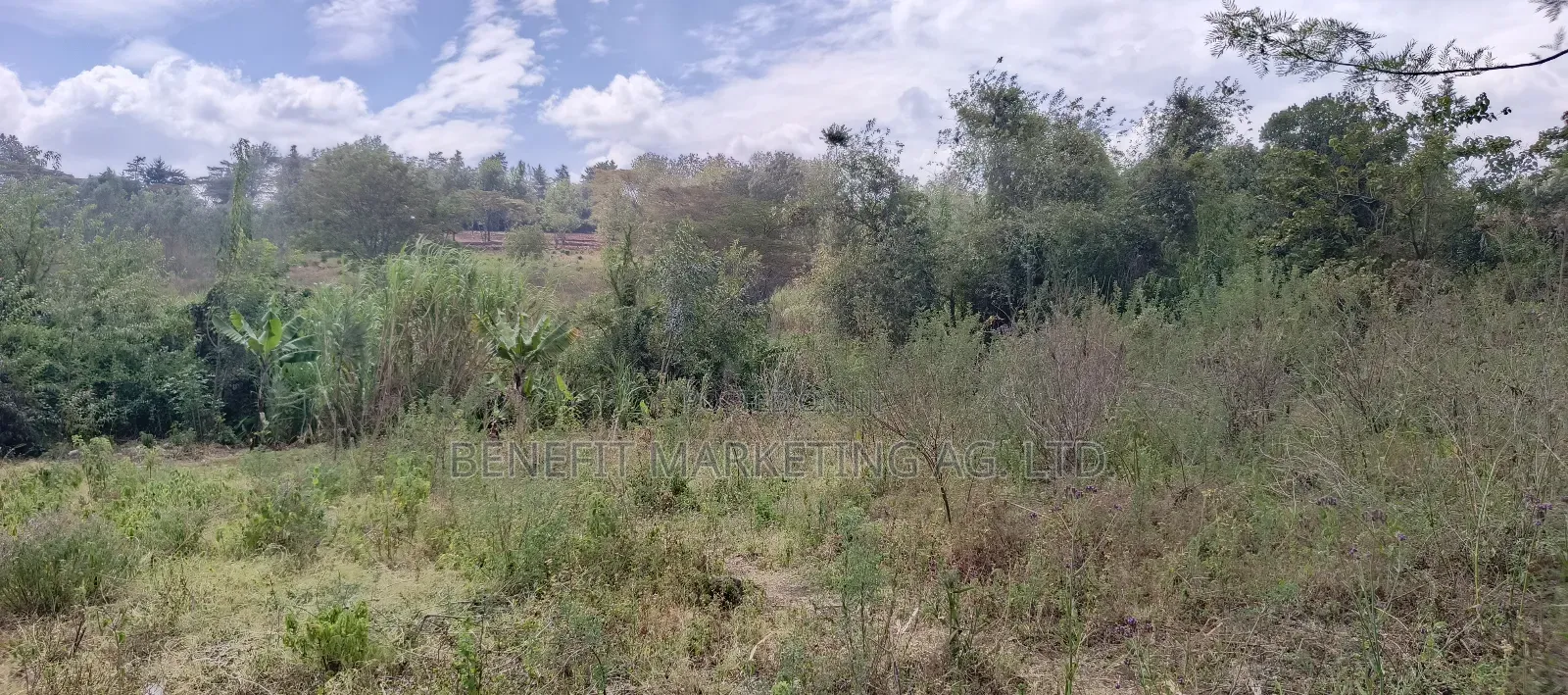 50*100 Plot for Sale in Ngong Ololua
