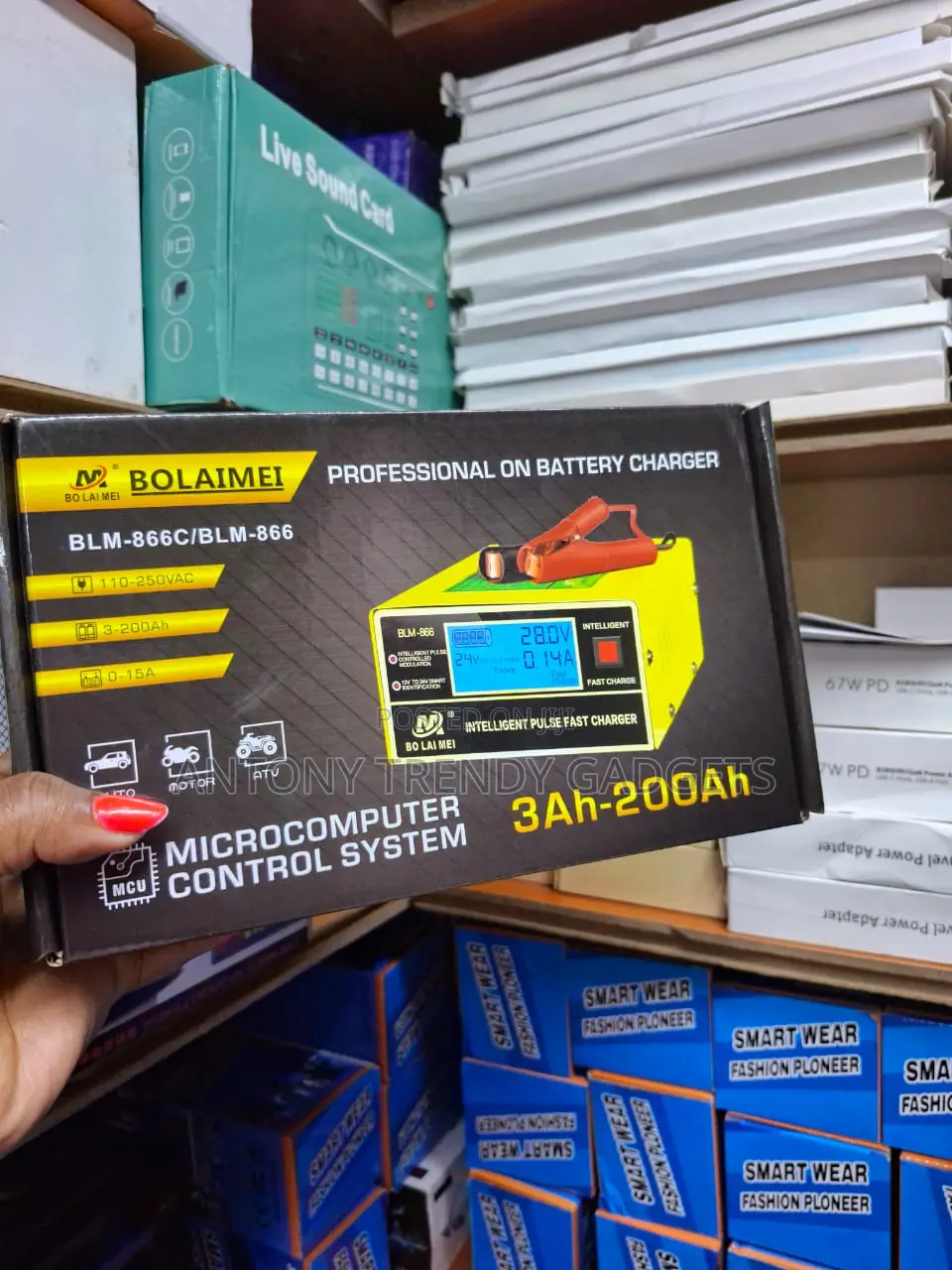 Blm-866 Smart Pulse Repair Battery Charger For 3ah–200ah Batteries