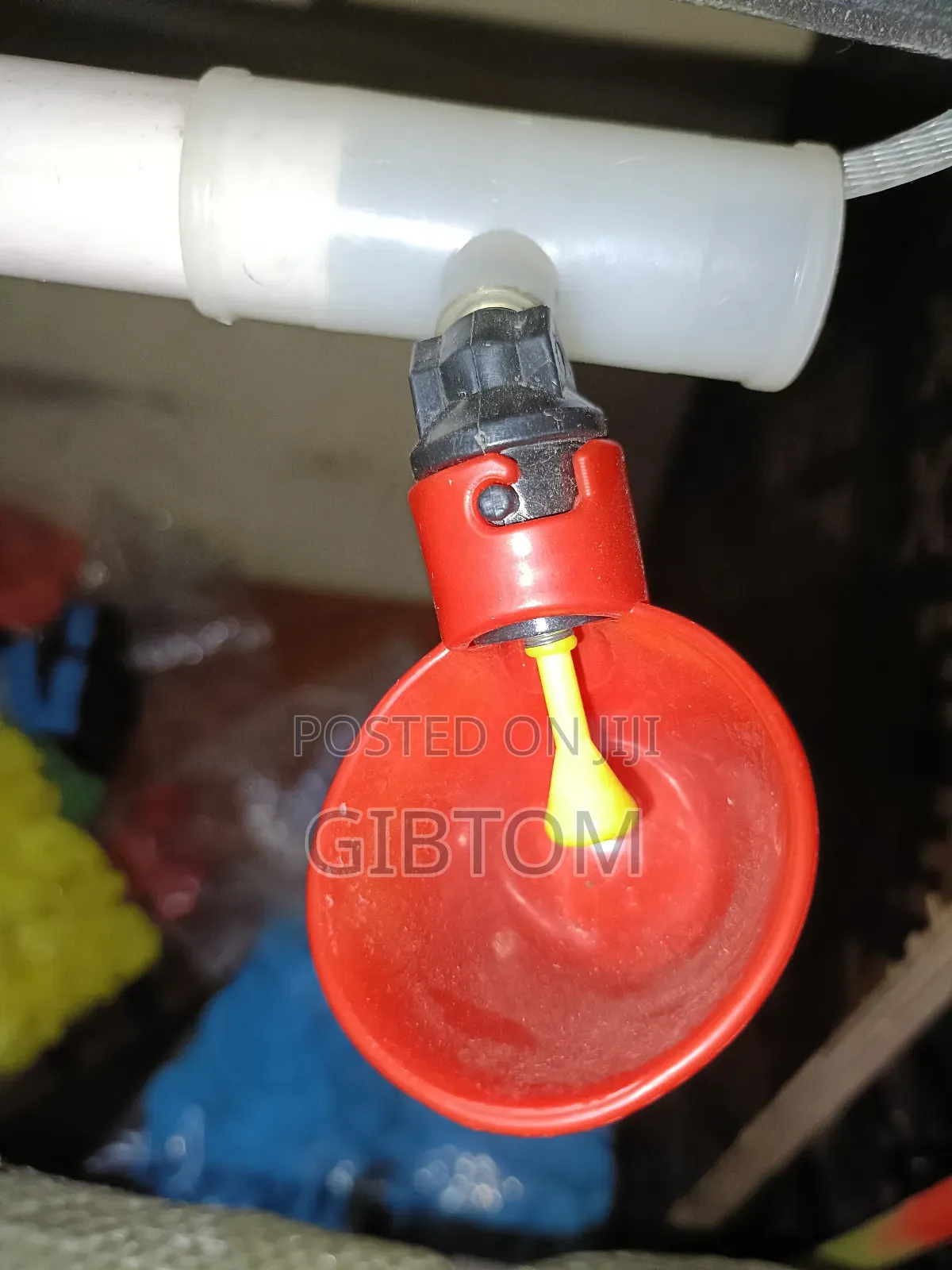 Poultry Automatic Water Drinkers Red Cups