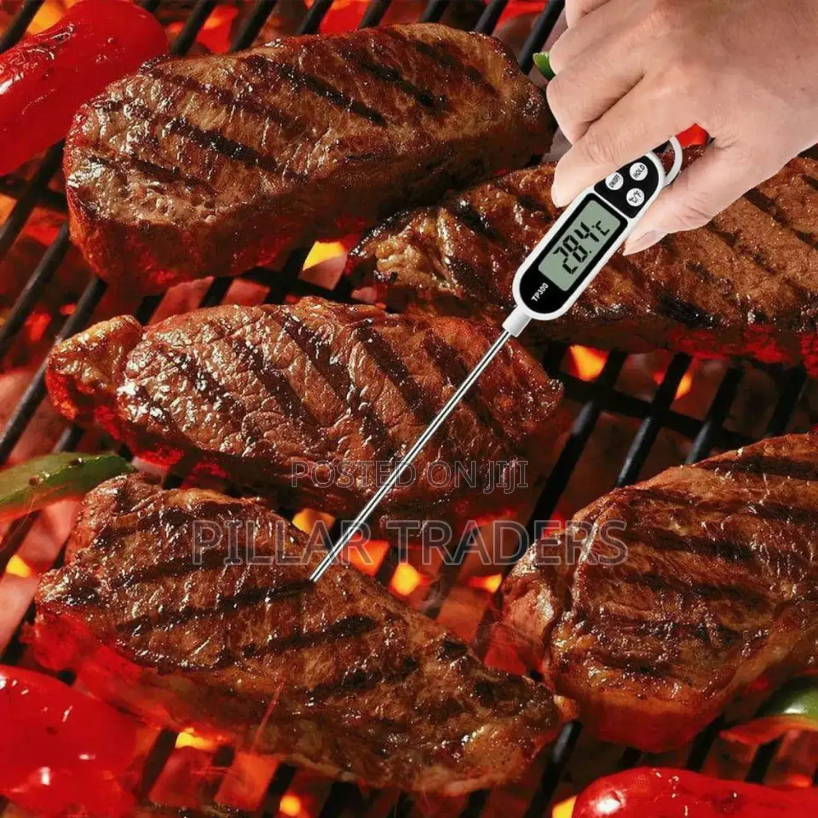Digital Food Thermometer