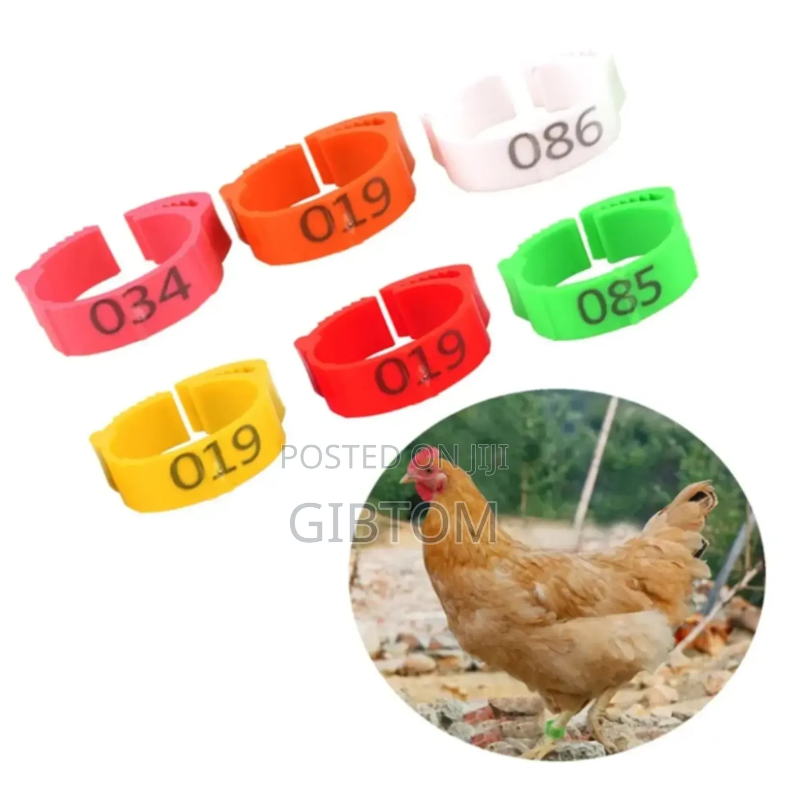 Poultry Identification Legs Bands/Ring
