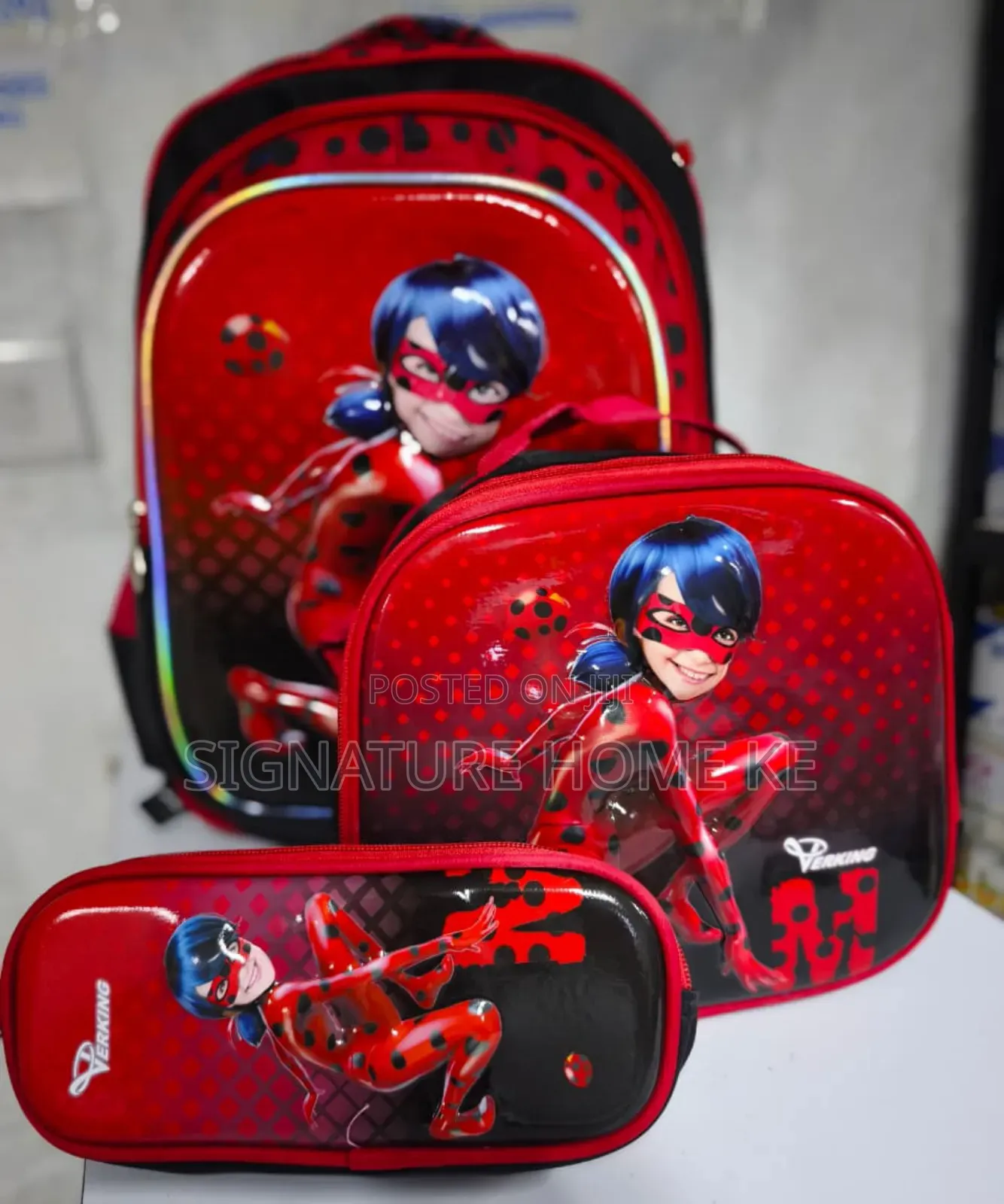 3 in 1 School Bag