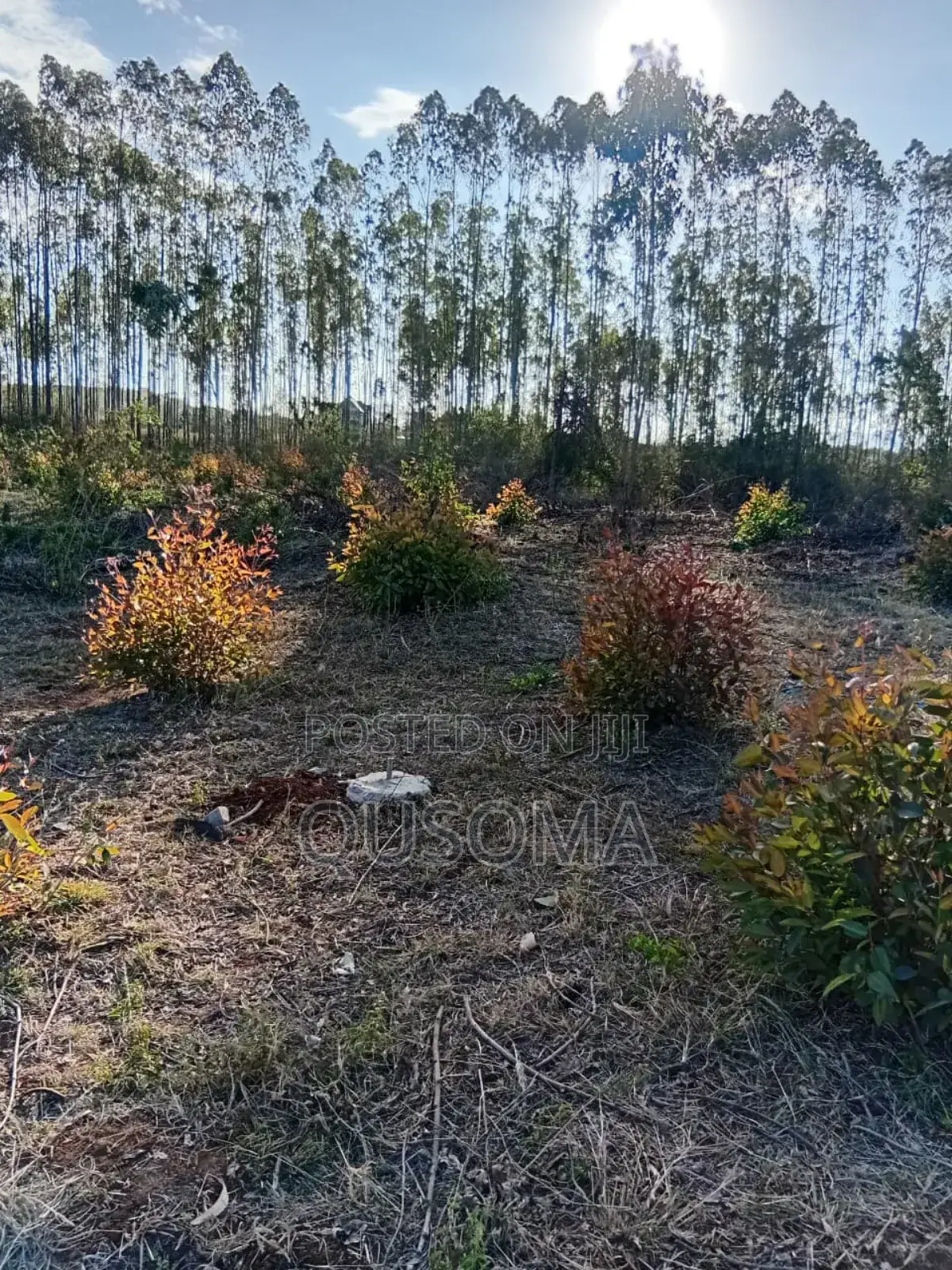 26 Quarter Acre Plots at Ongata Rongai, Tuala - A Goldmine