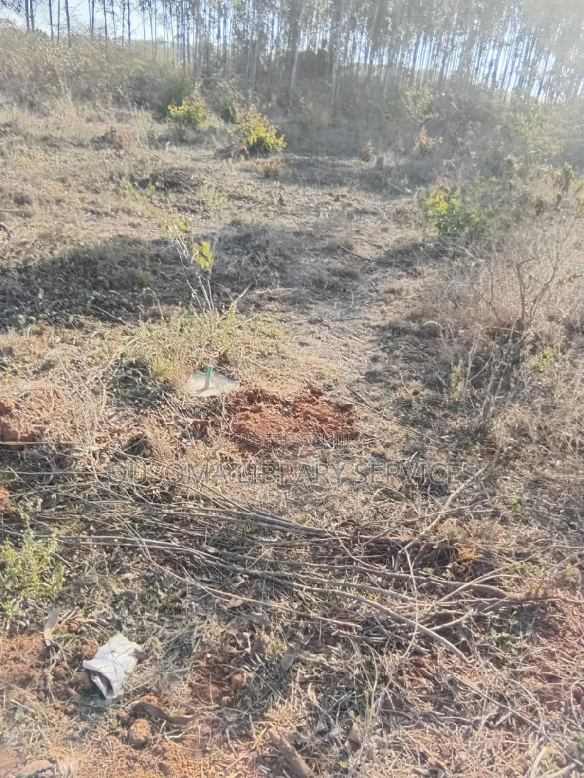 26 Quarter Acre Plots at Ongata Rongai, Tuala - A Goldmine