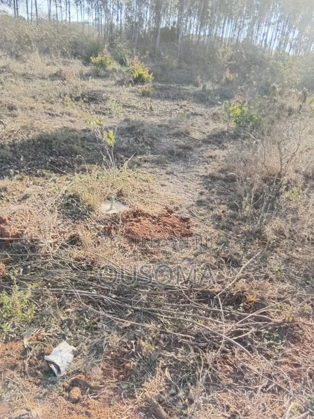 26 Quarter Acre Plots at Ongata Rongai, Tuala - A Goldmine