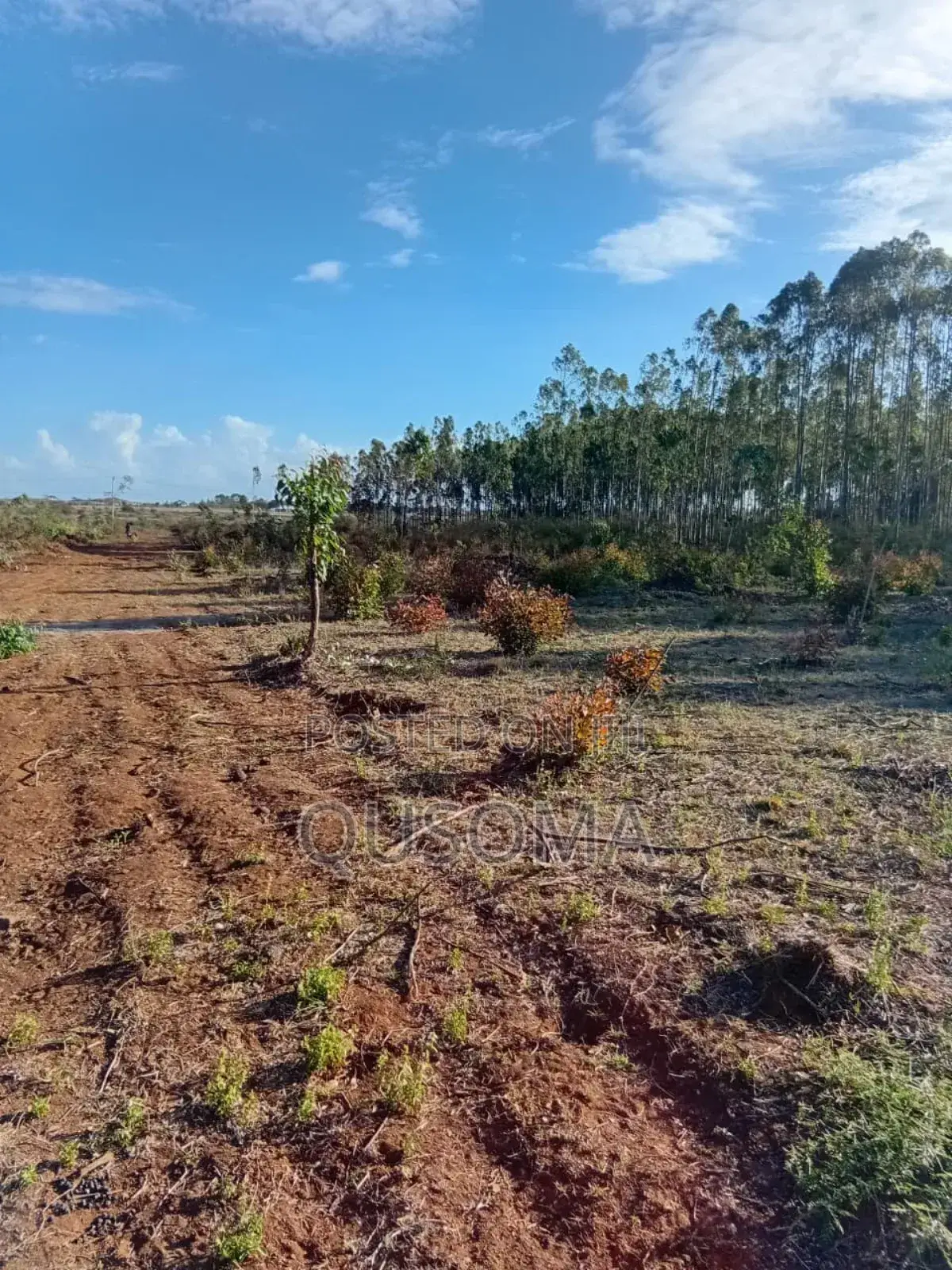 26 Quarter Acre Plots at Ongata Rongai, Tuala - A Goldmine