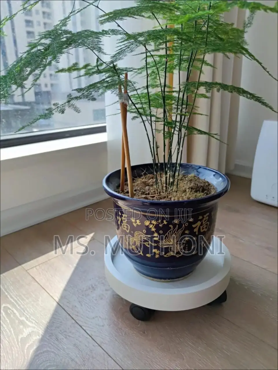 39 Cm Rolling Plant / Gas Cylinder Caddy With Wheels.