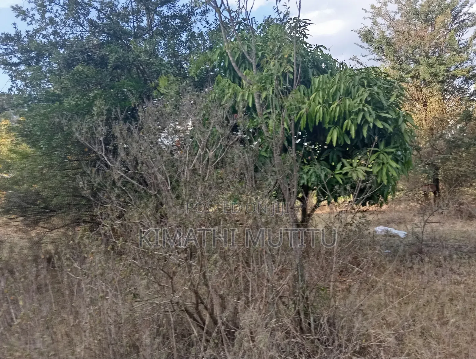 A Very Prime Commercial 1 Acre Touching the Tarmac Road