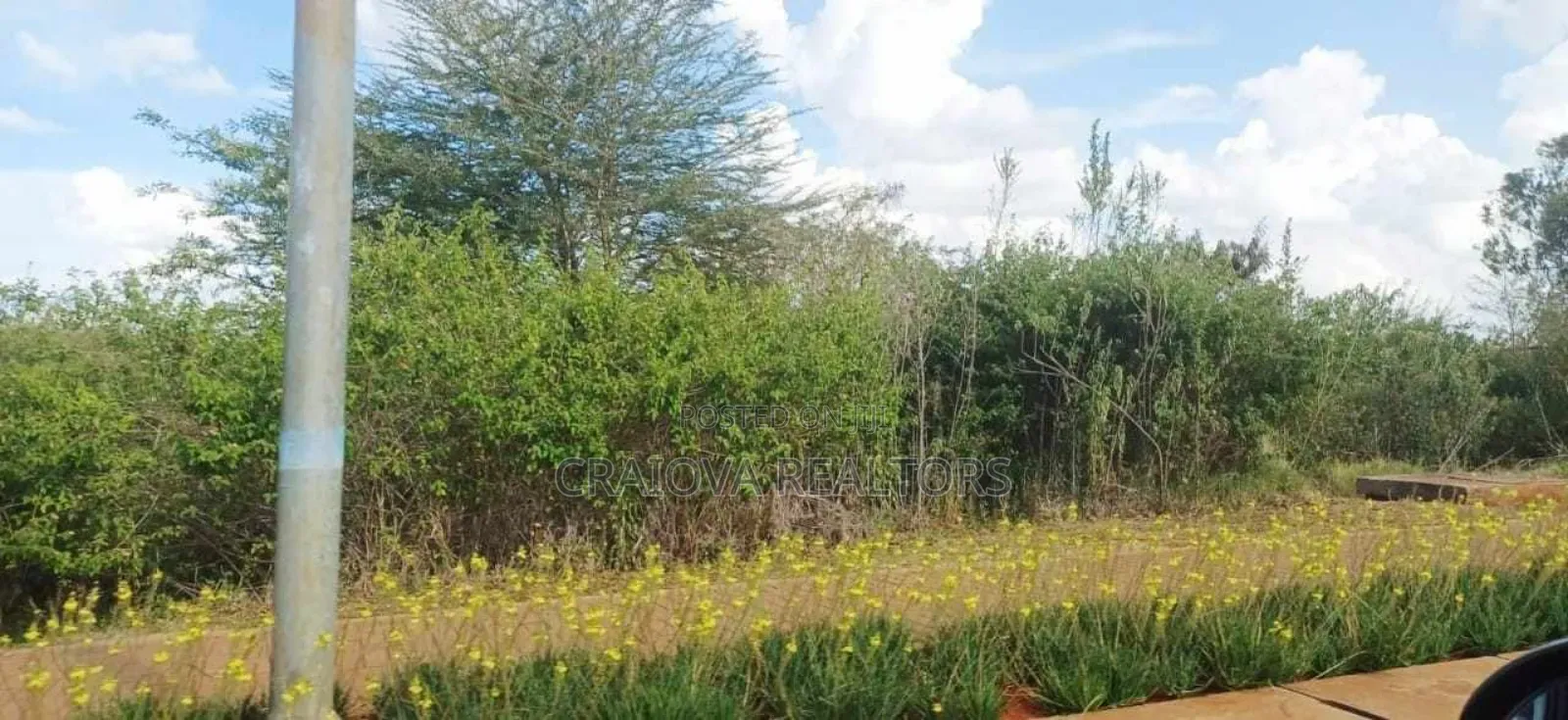 0.5 Acre Plots at Tatu City