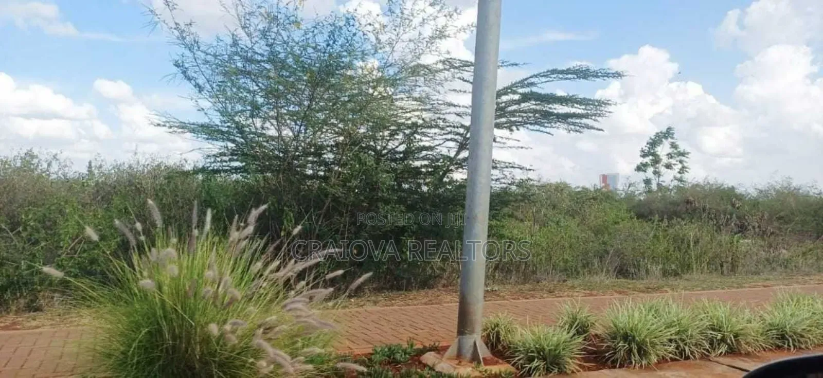 0.5 Acre Plots at Tatu City