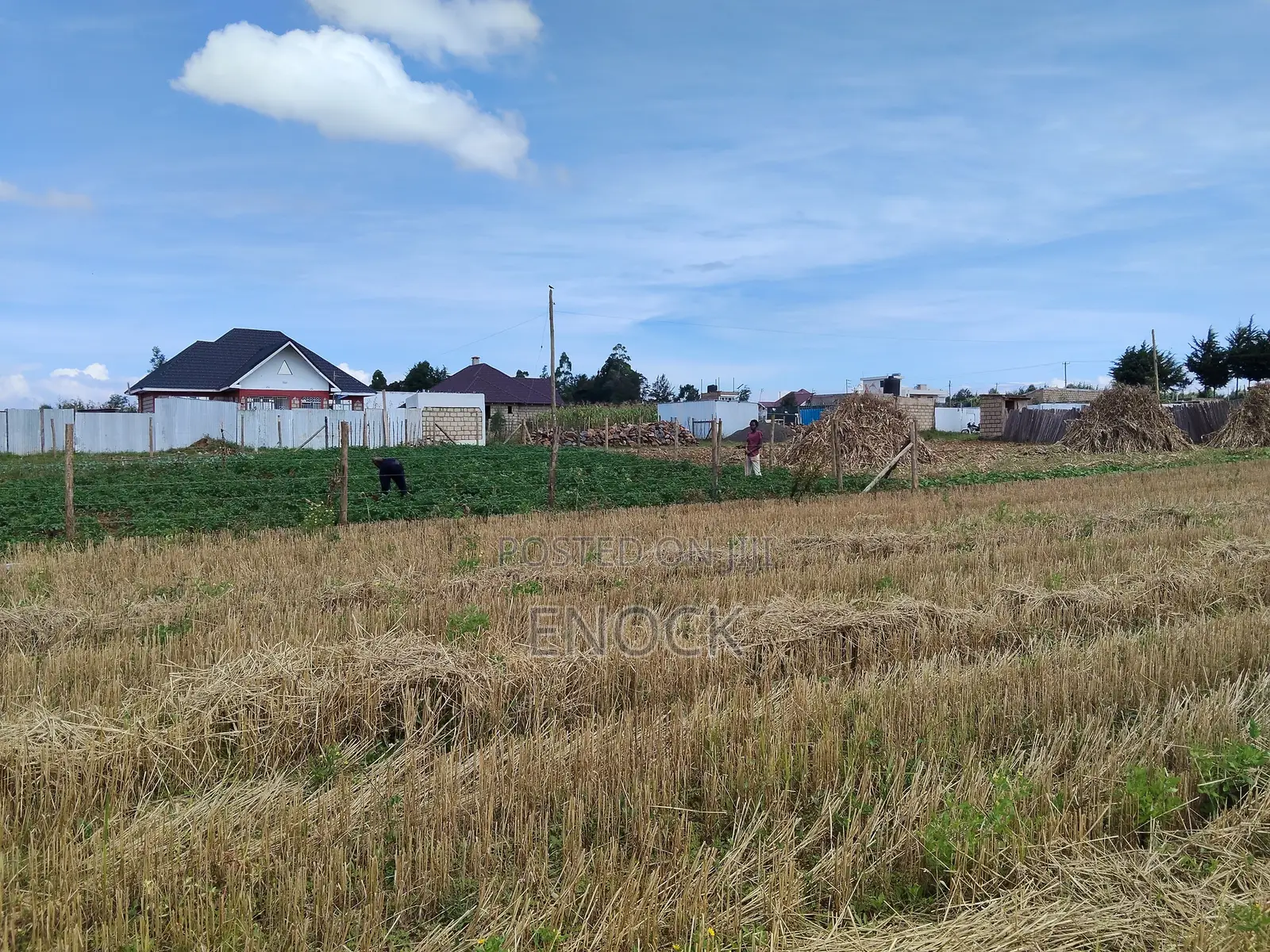 Eldoret Chemaluk Chepkanga Plots