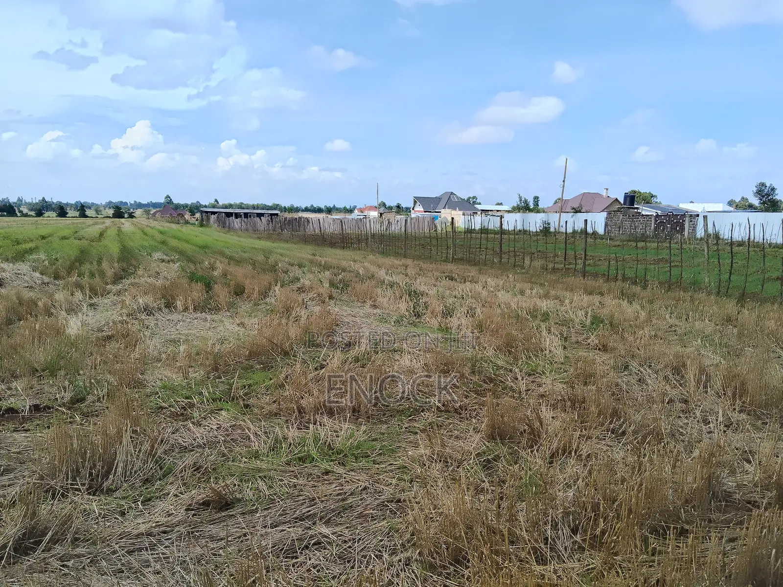 Eldoret Chemaluk Chepkanga Plots