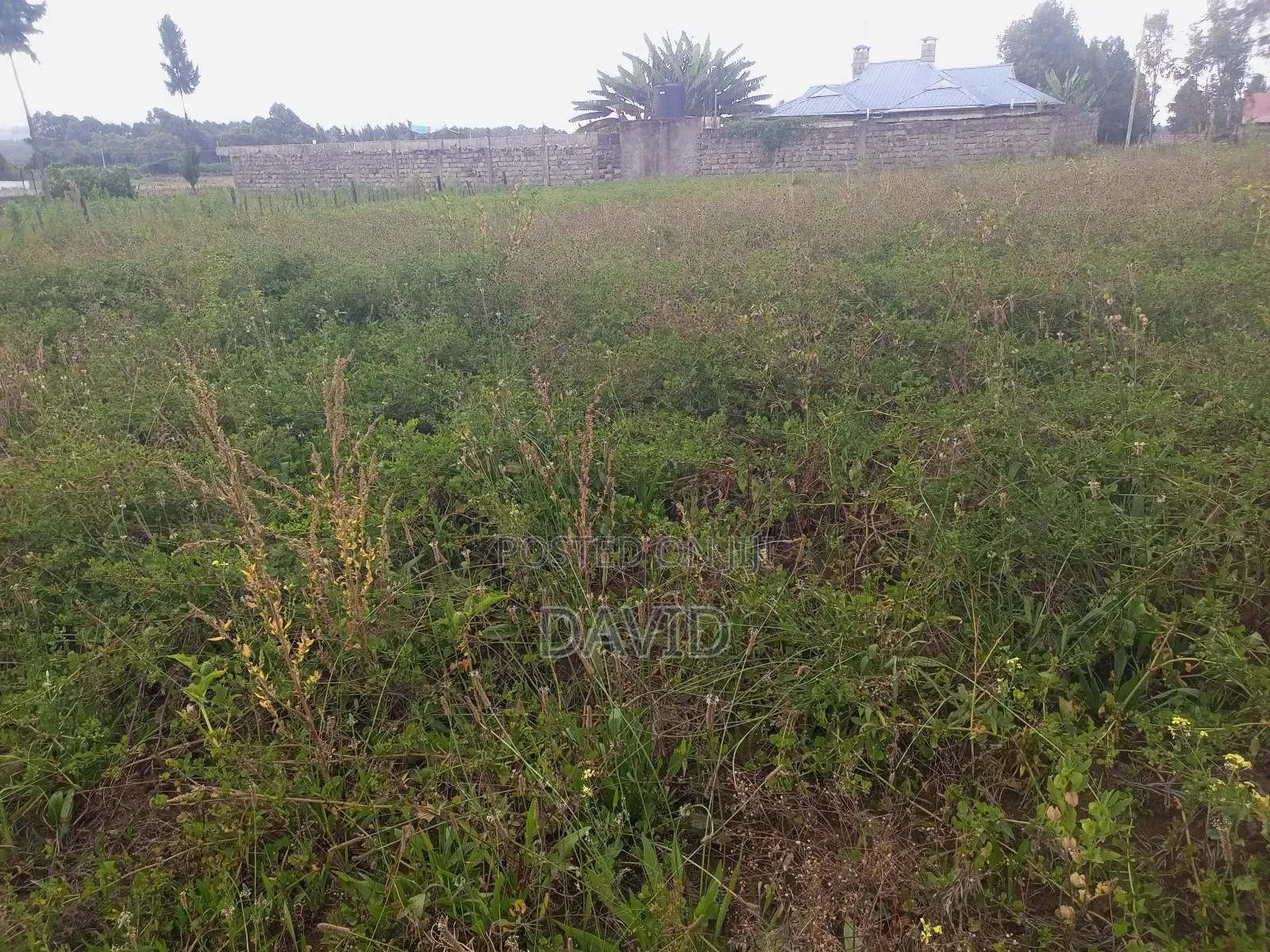 Plot for Sale in Egerton