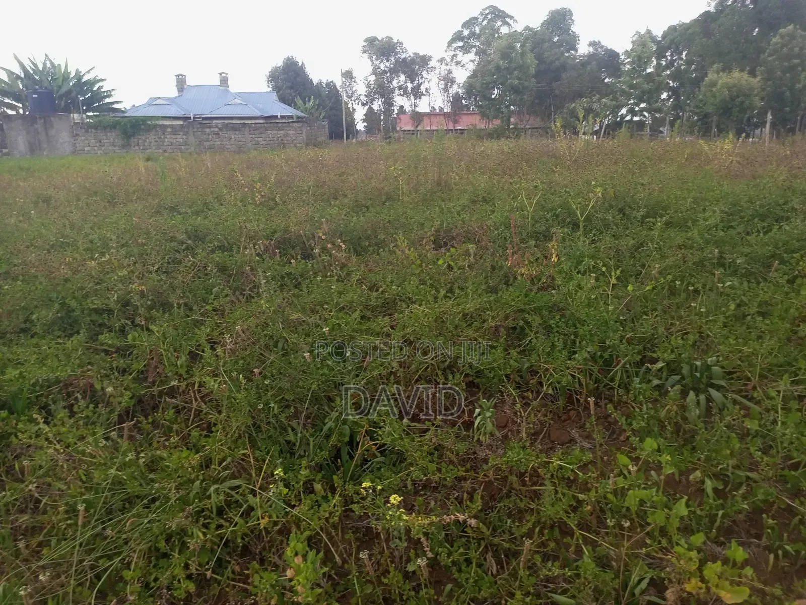 Plot for Sale in Egerton