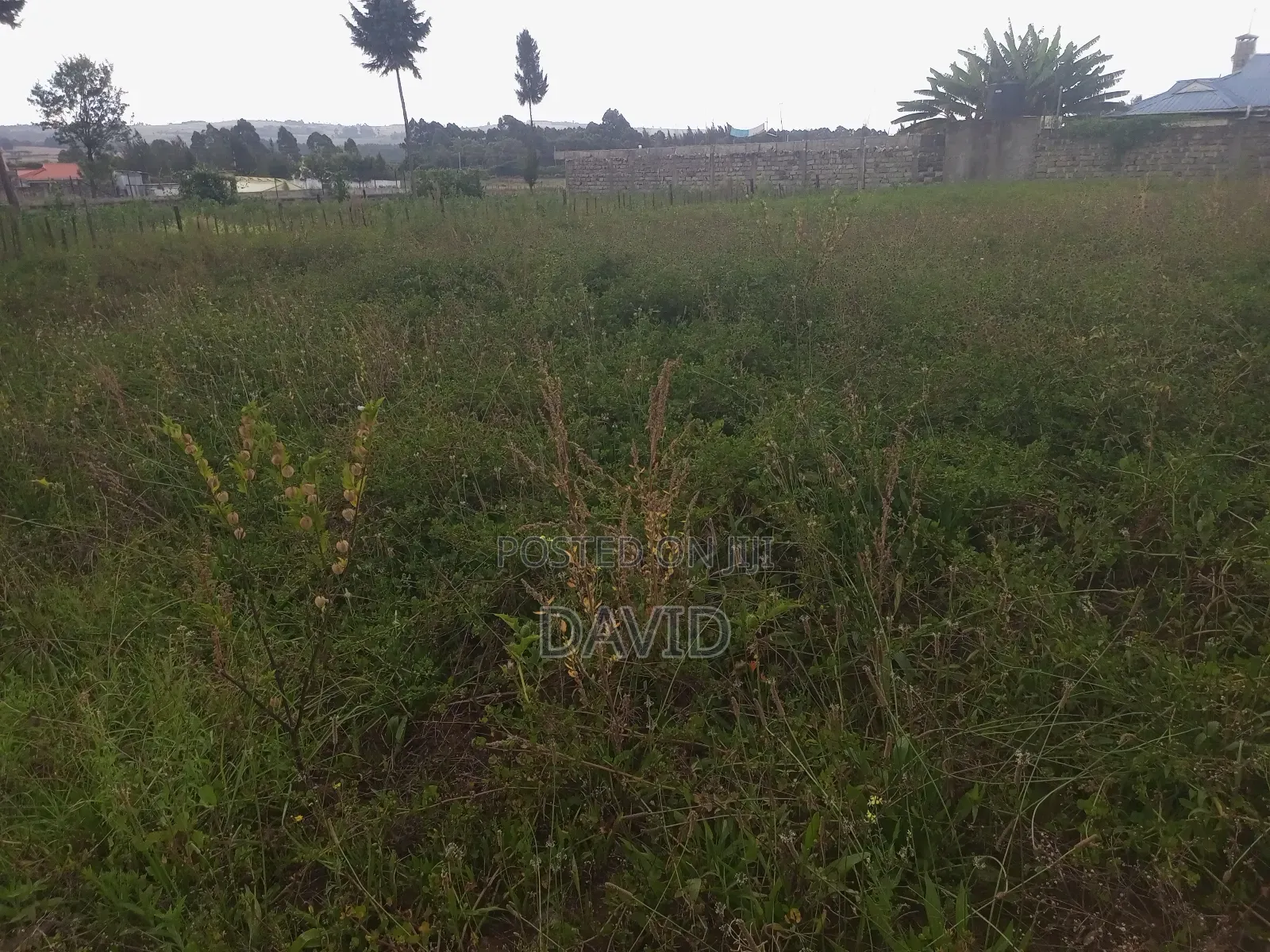 Plot for Sale in Egerton