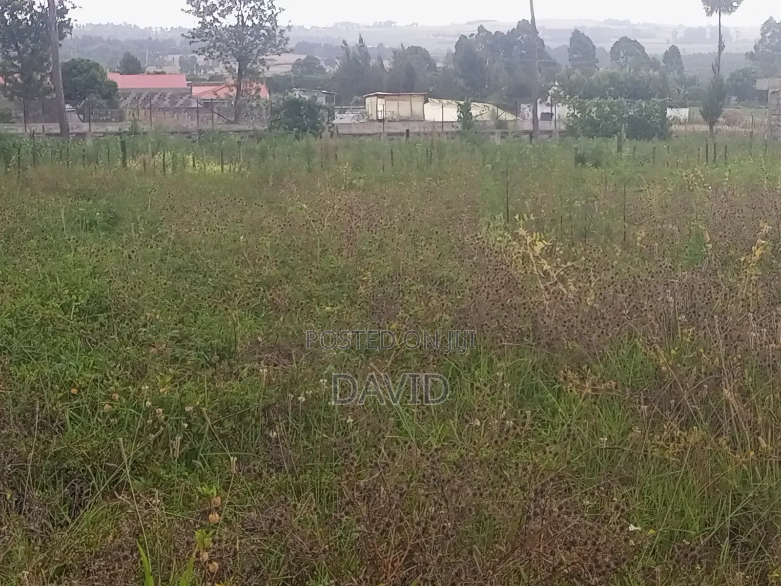 Plot for Sale in Egerton