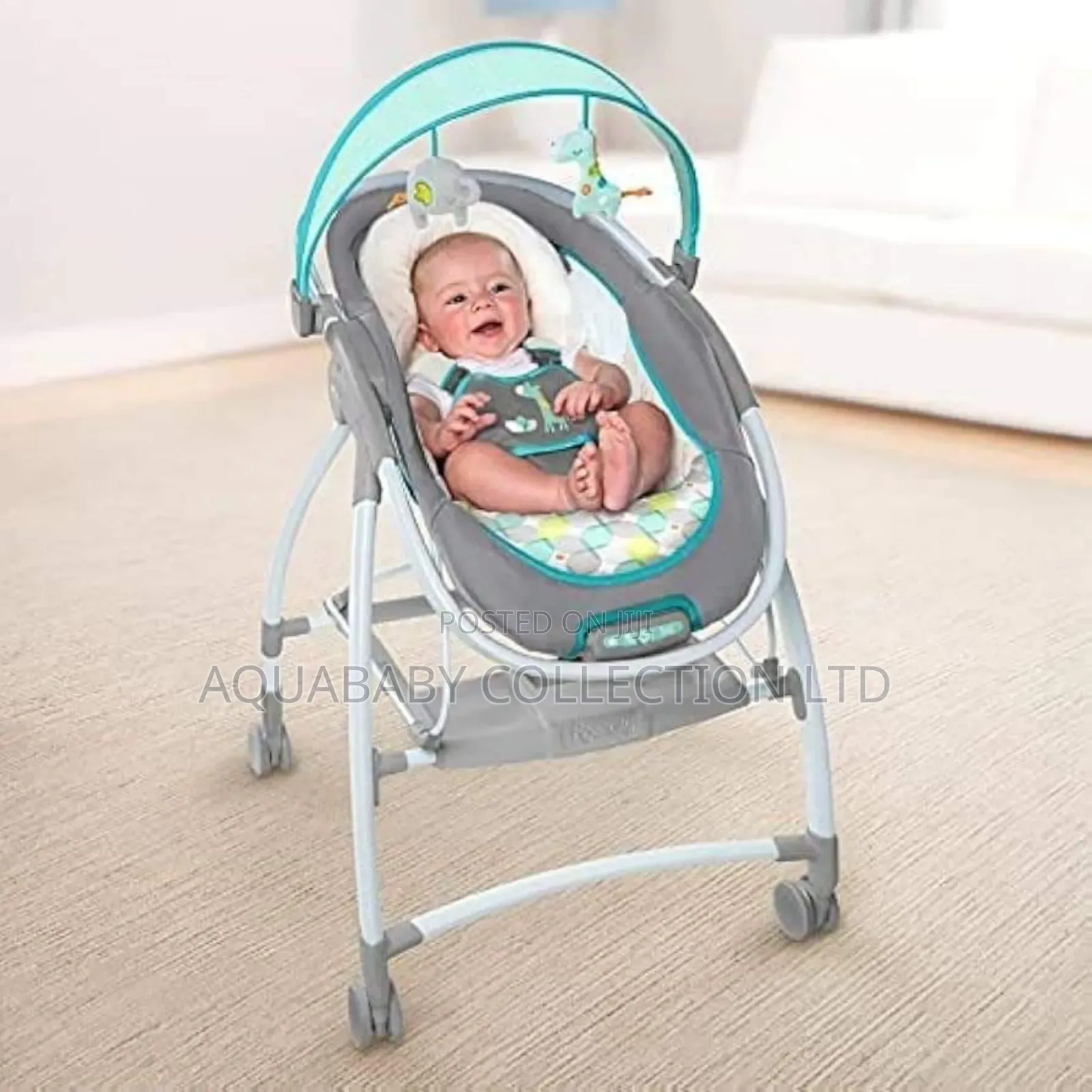 Lounger and Bassinet