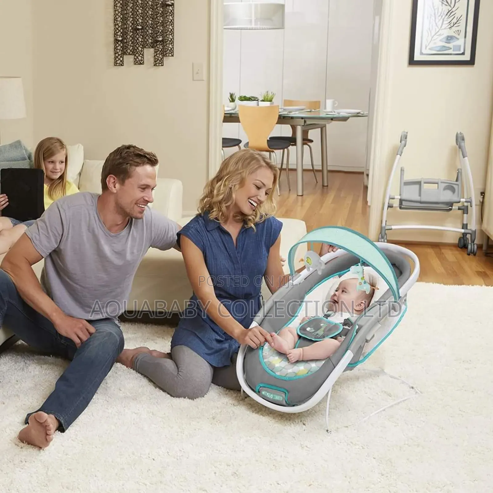 Lounger and Bassinet