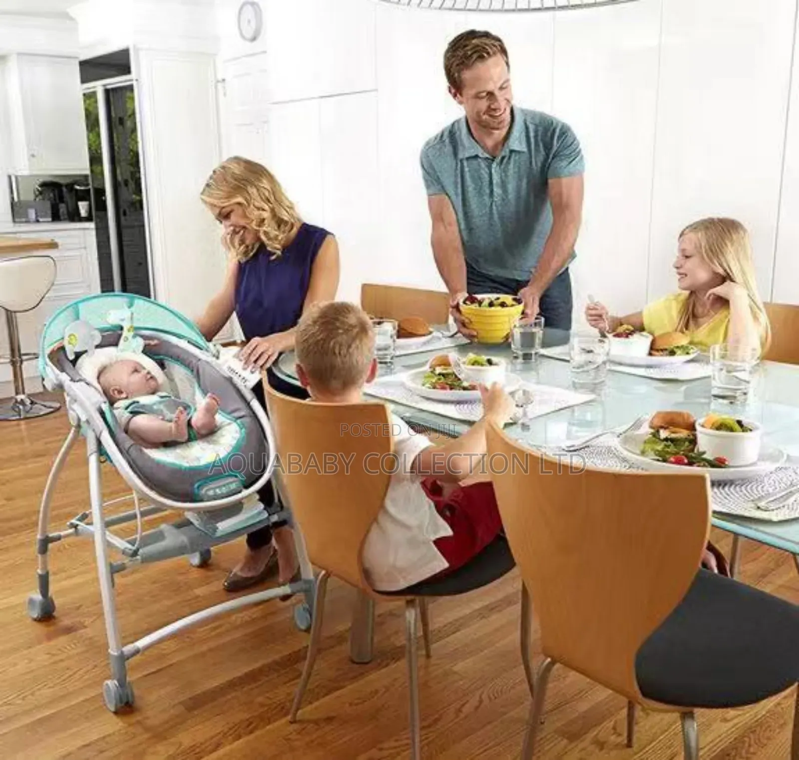 Lounger and Bassinet