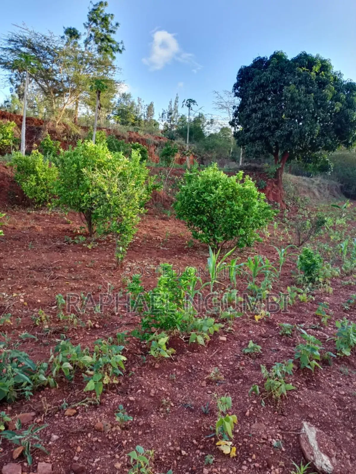 3bdrm House in Machakos Town for sale