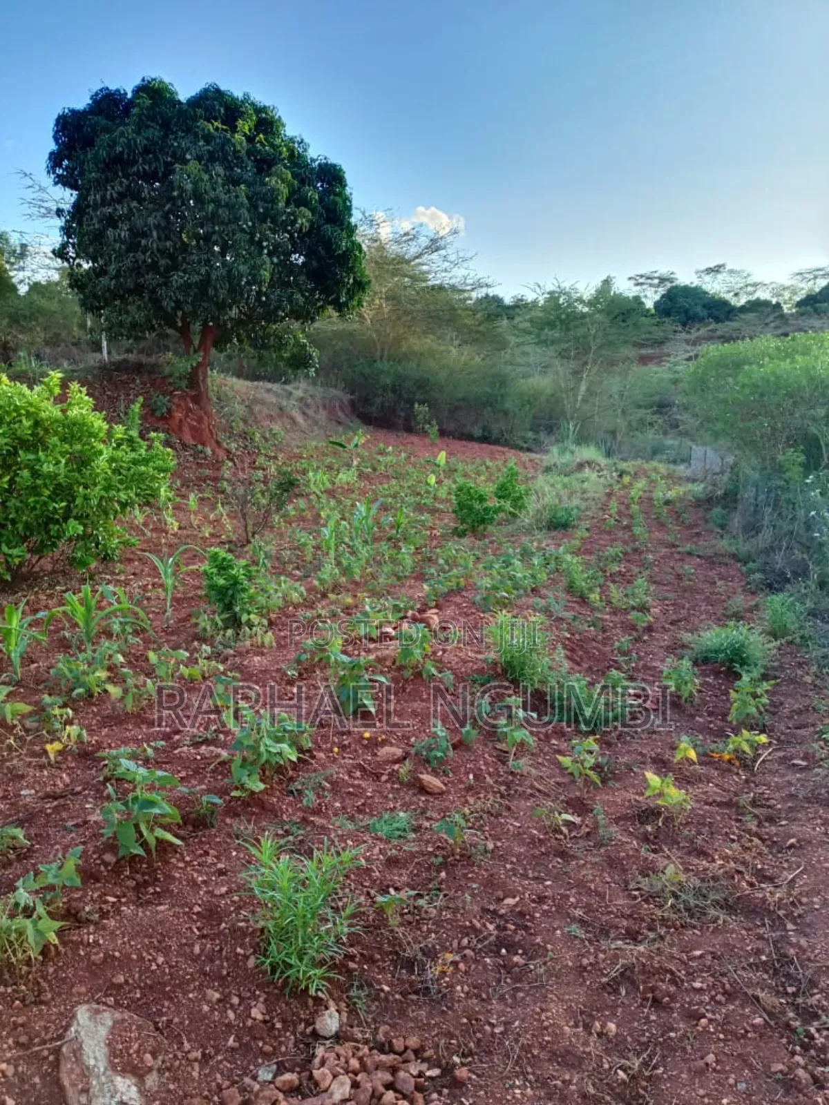 3bdrm House in Machakos Town for sale