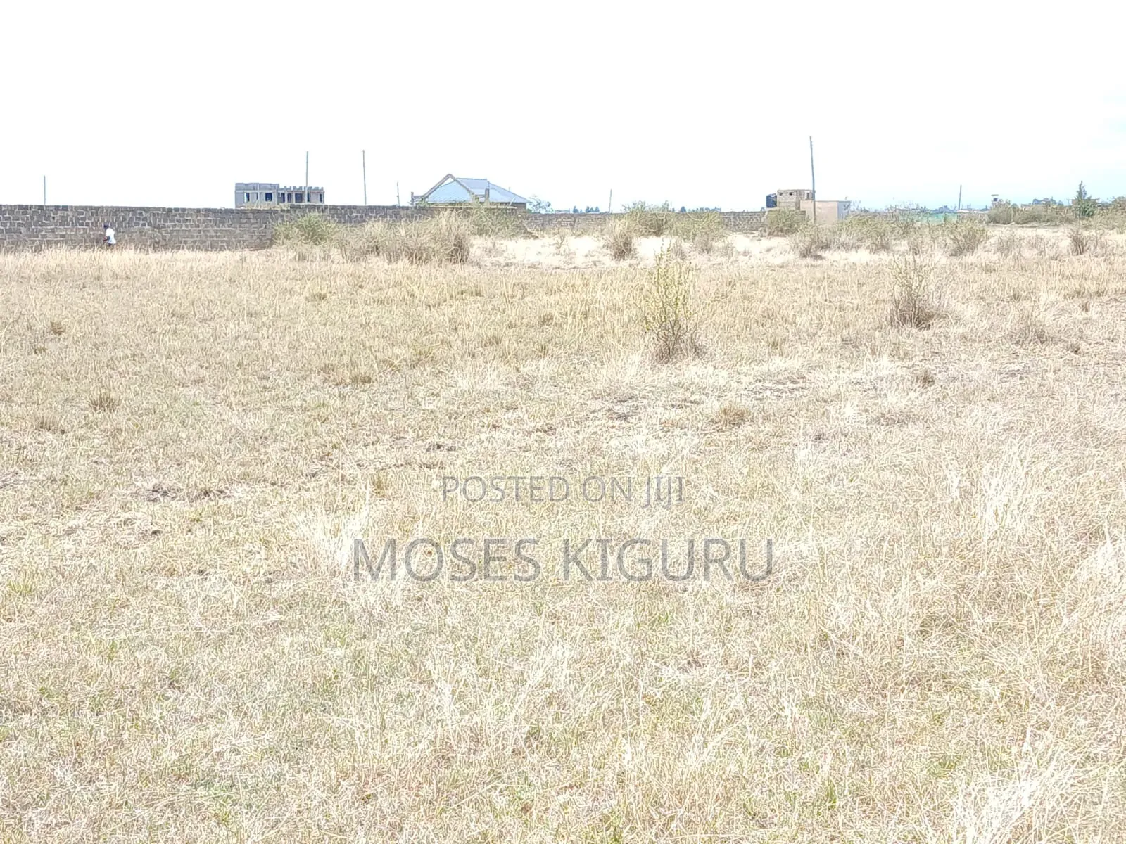 Jujafarm Road 50x100 Plots