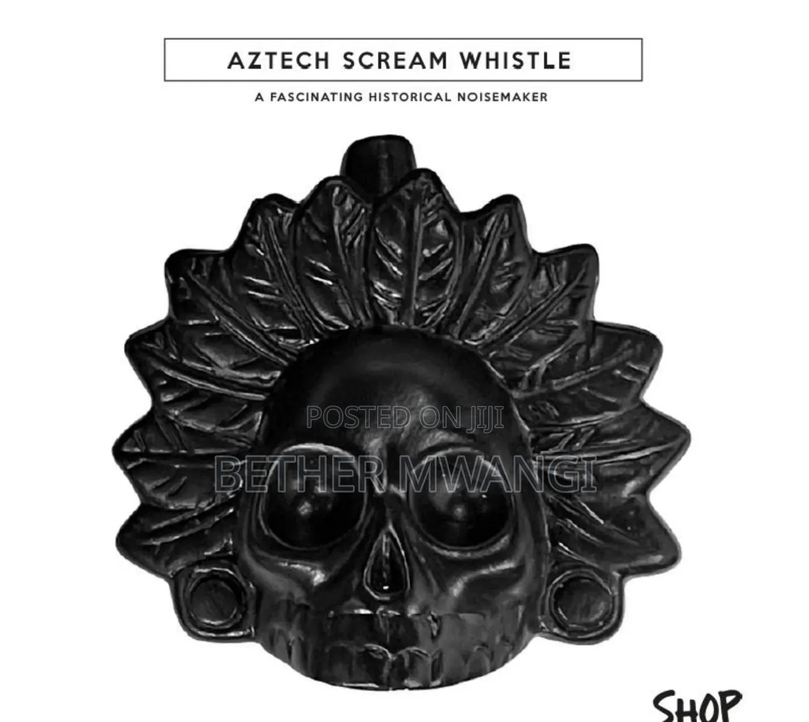 Aztech Scream Whistle In Kenya