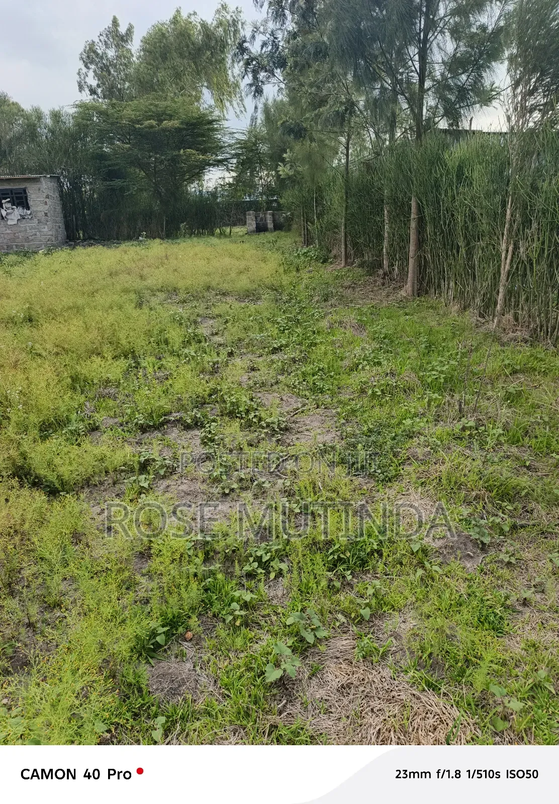 100 by 100 at Koma