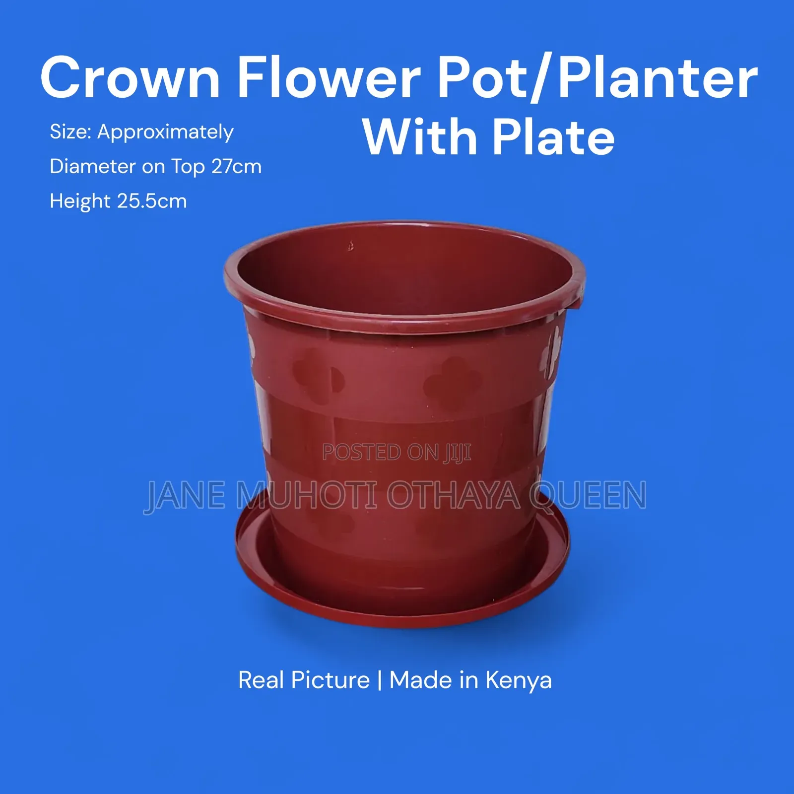 Crown Flower Pot / Planter With Plate