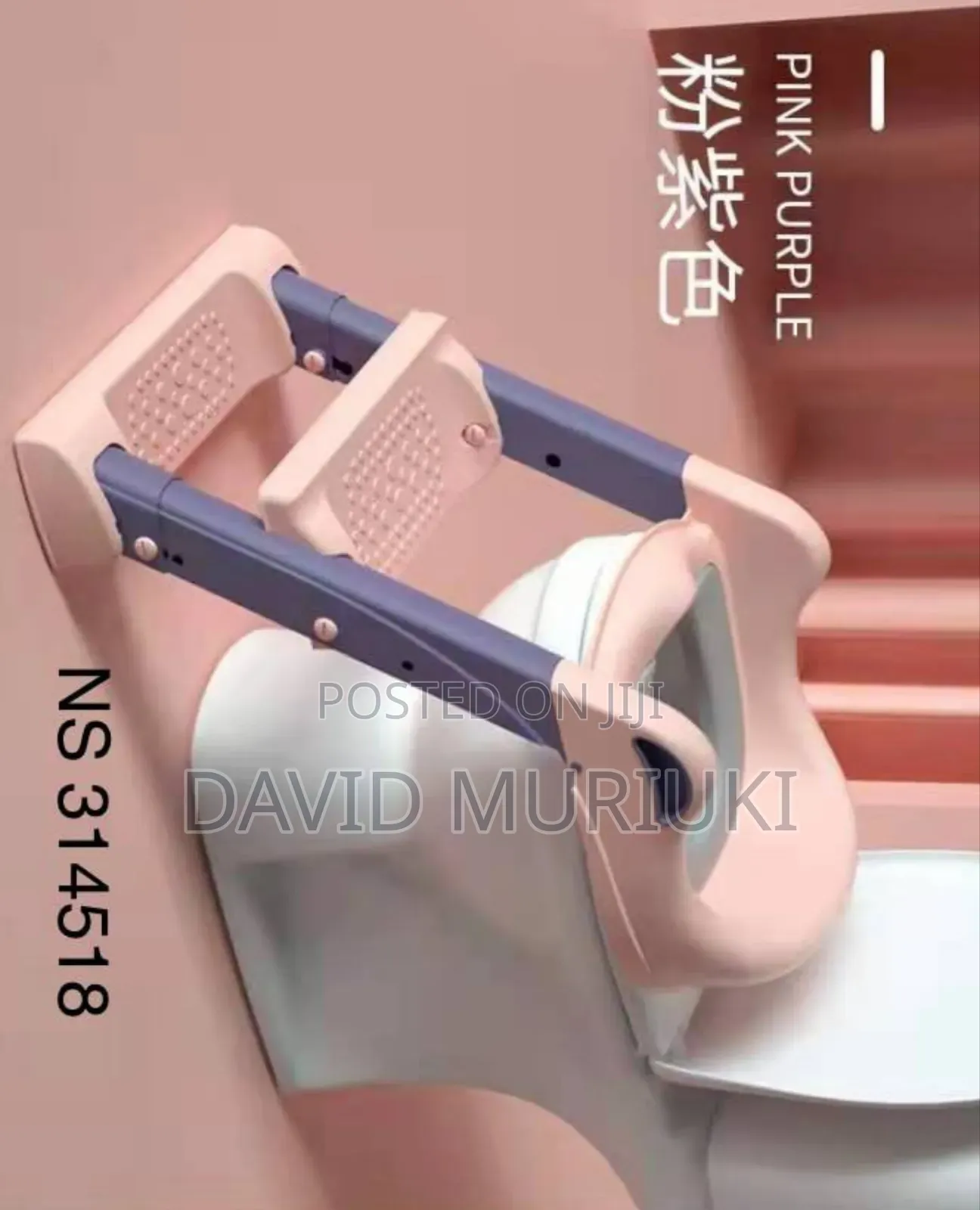 Toilet Ladder