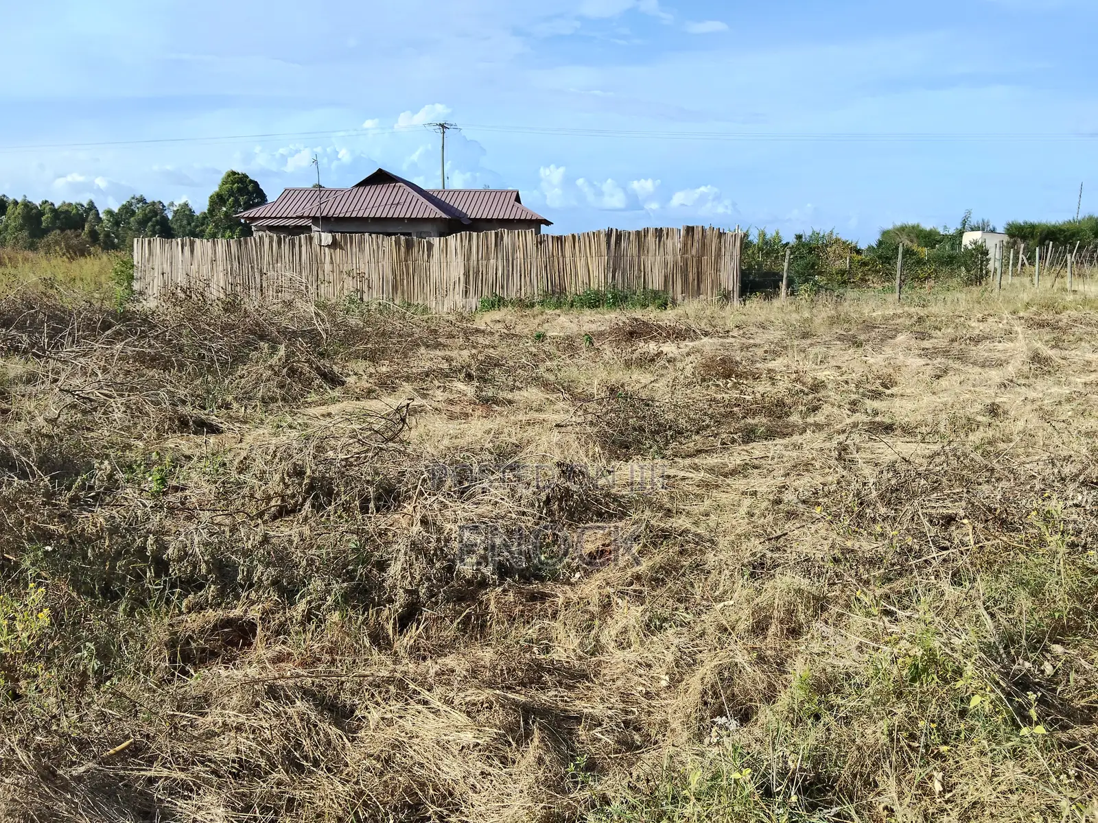 Prime Residential Plot in Kipkenyo Segero