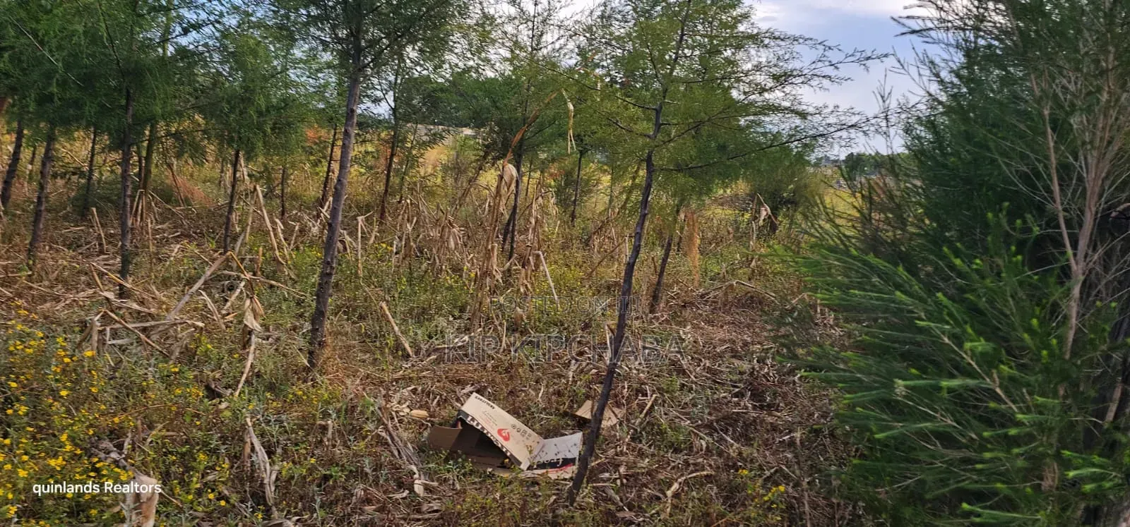 1⁄4 Plot for Sale in Eldoret Kiplombe at Kibulgeny Opposite New MTRH