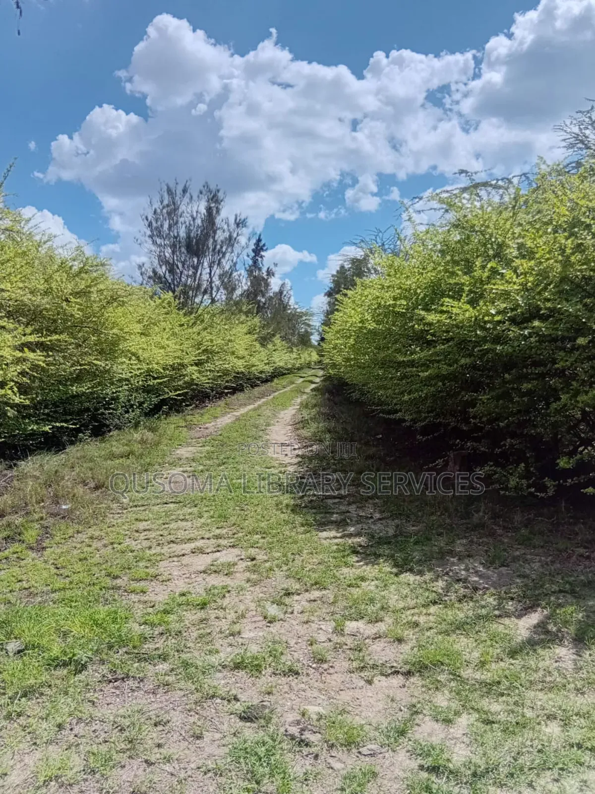 Prime Half-Acre Gem, Korompoi, Naisula, Kitengela Below Market Price